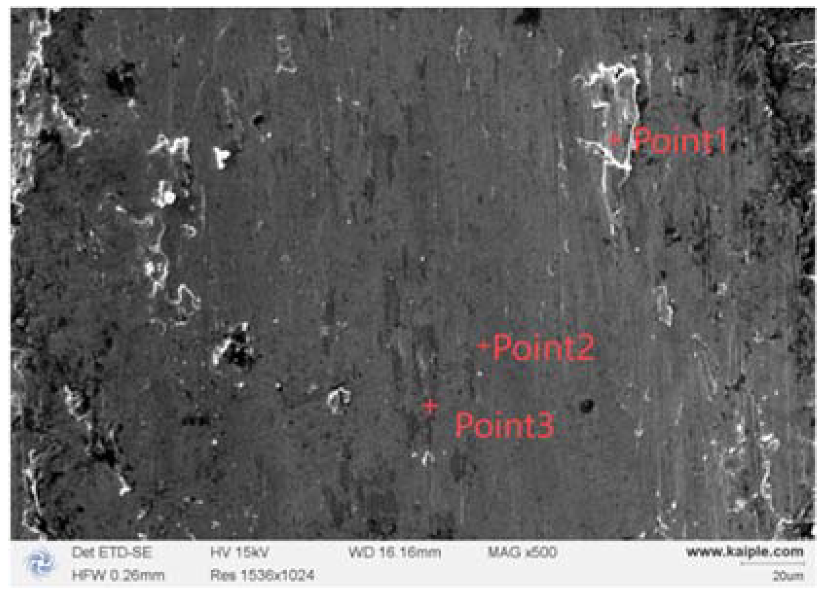 Metals 14 00998 g008