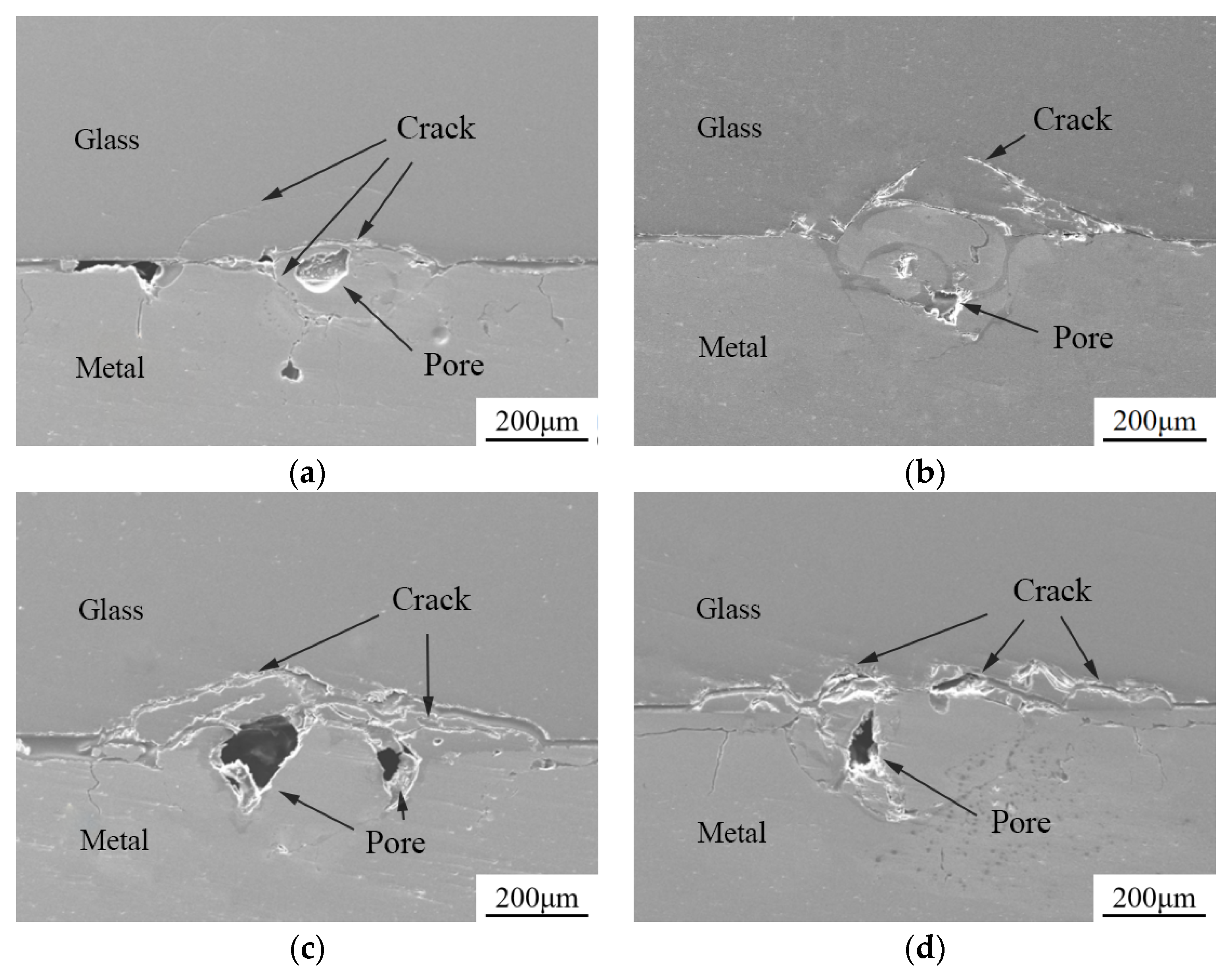 Metals 14 01001 g013