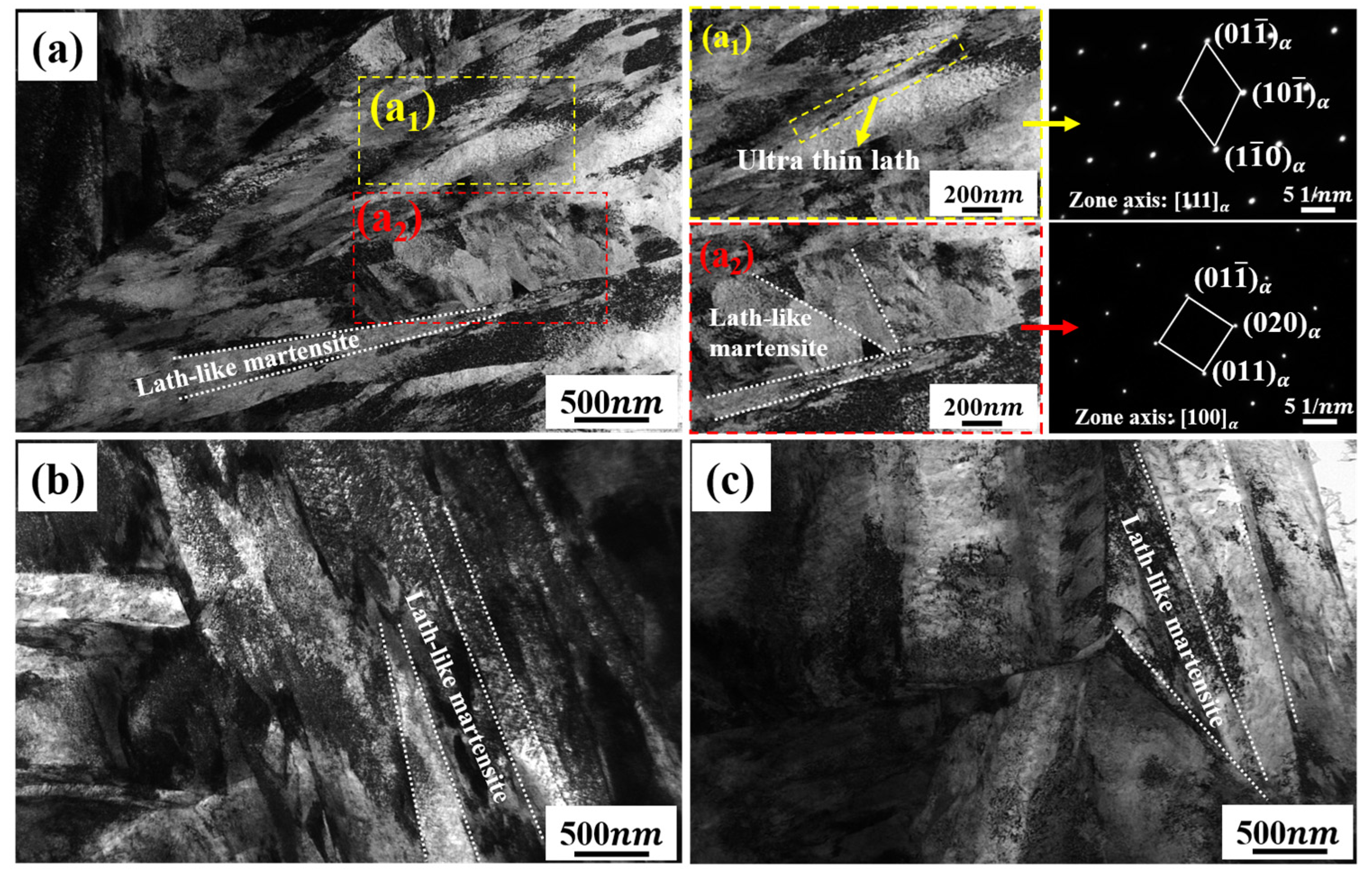 Metals 14 01006 g006