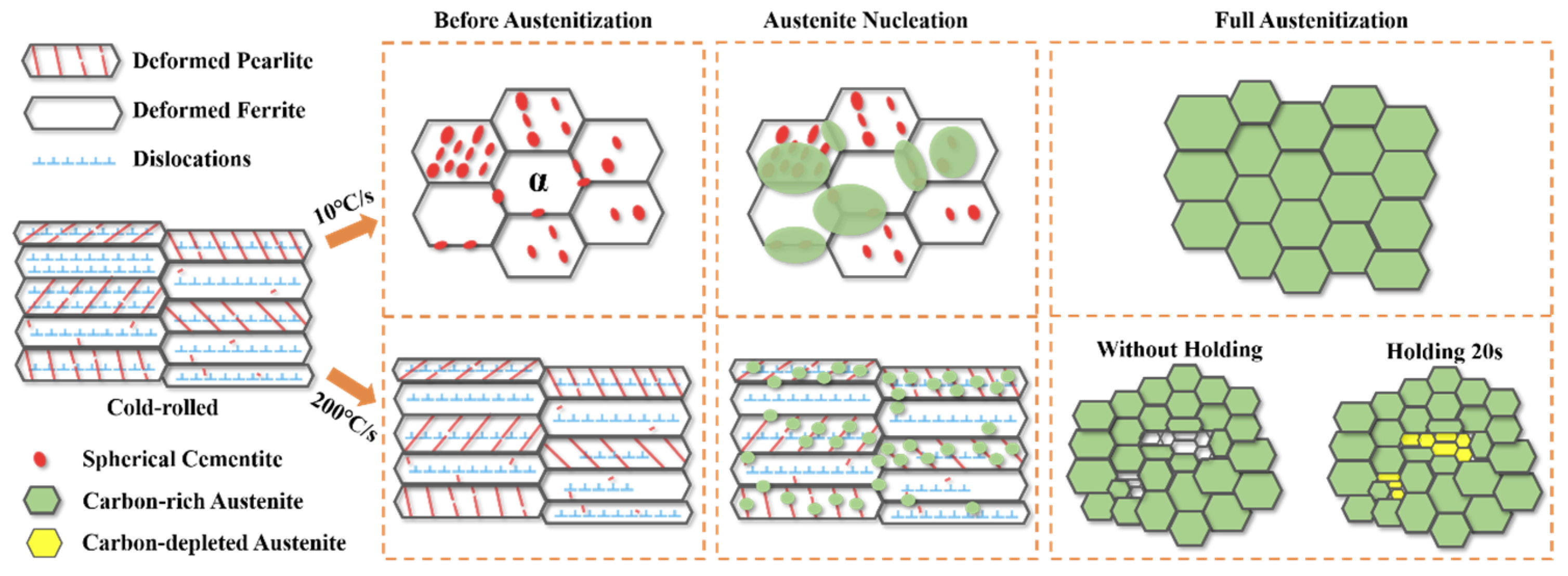 Metals 14 01006 g012