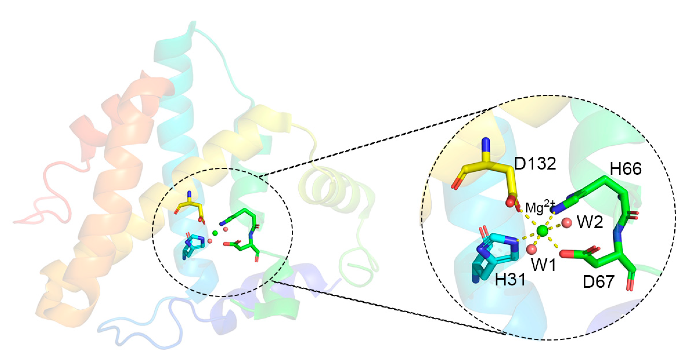 Metals 14 01009 g001
