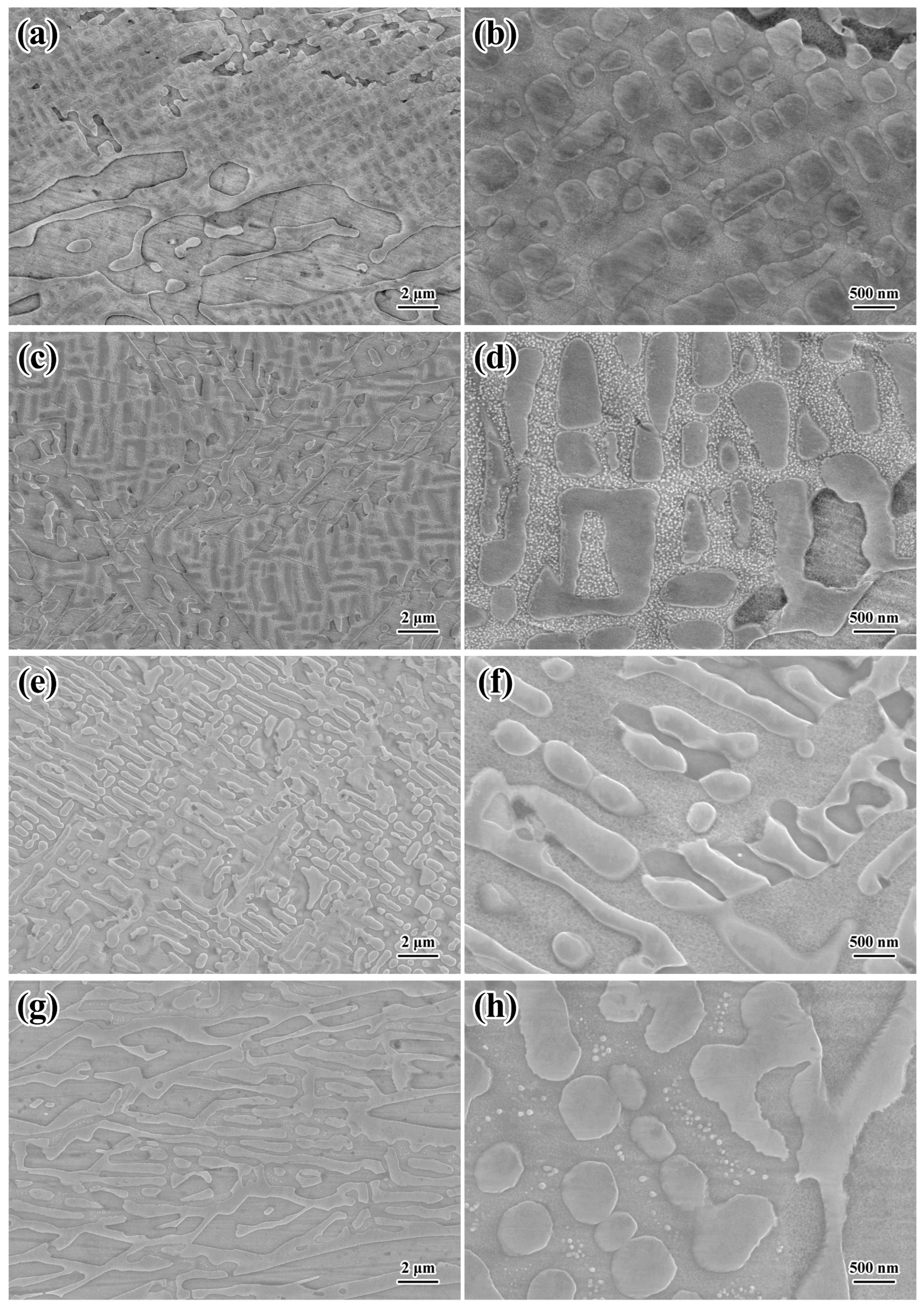 Metals 14 01010 g002