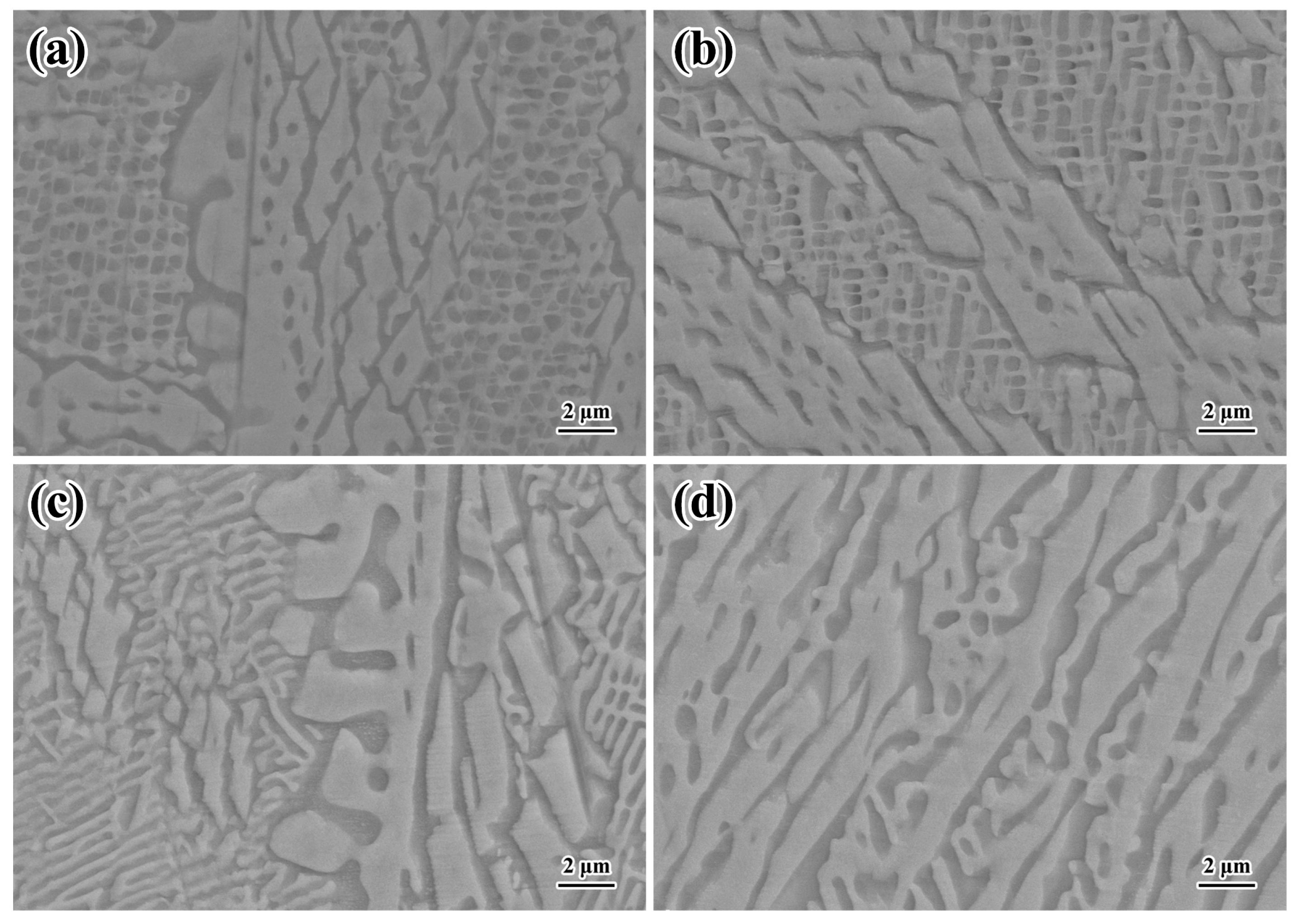 Metals 14 01010 g009