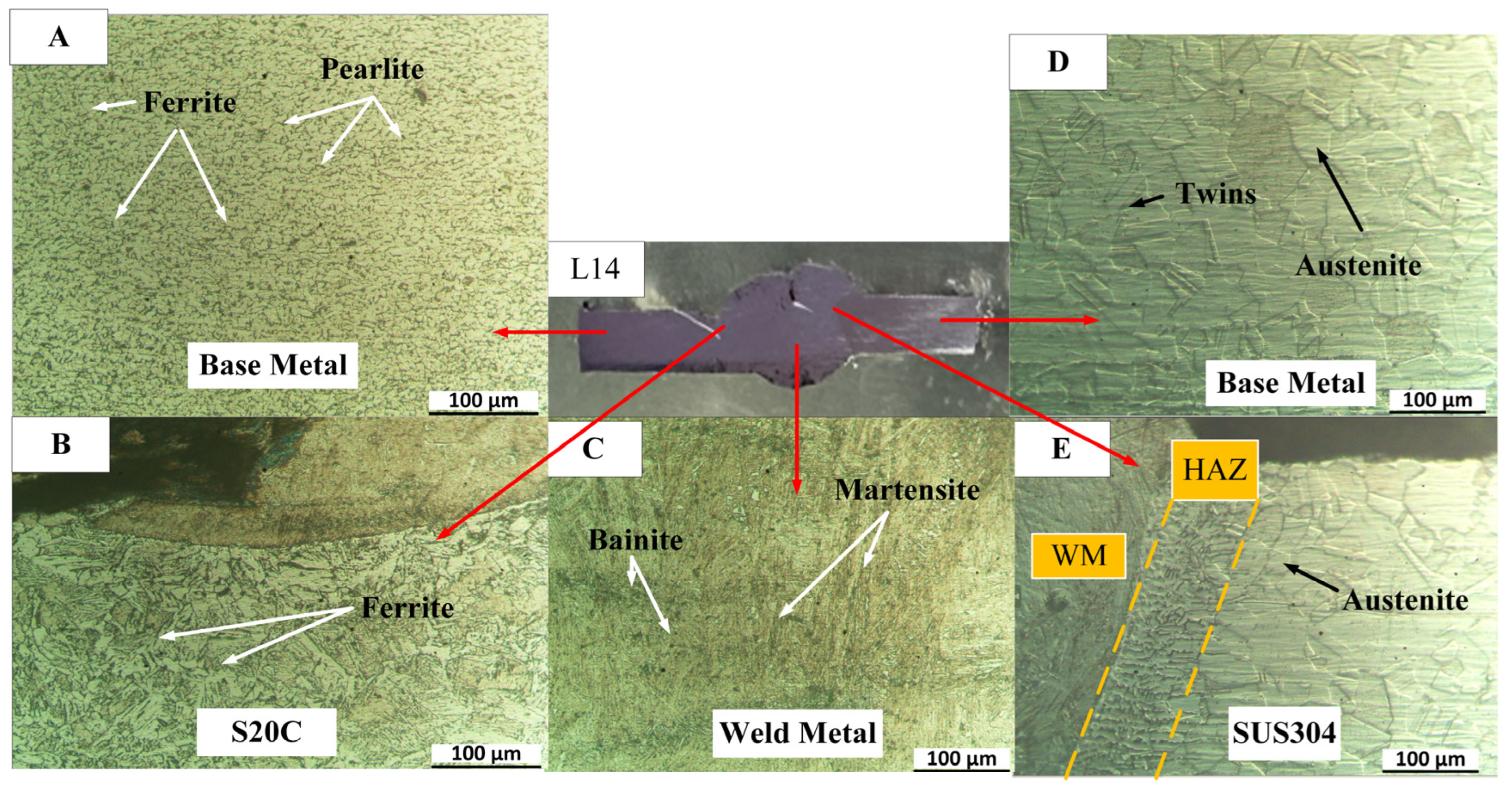 Metals 14 01011 g005