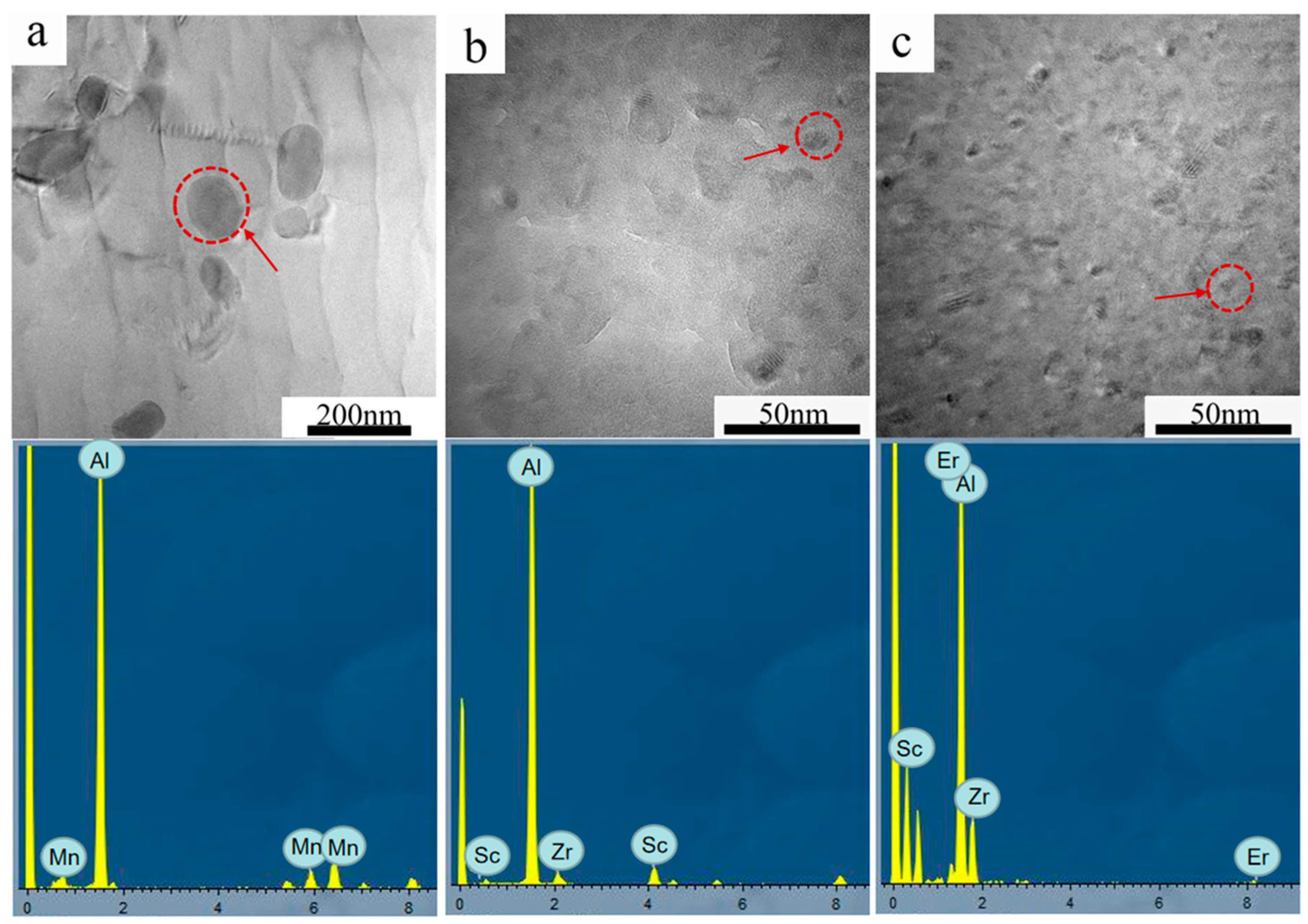 Metals 14 01013 g012