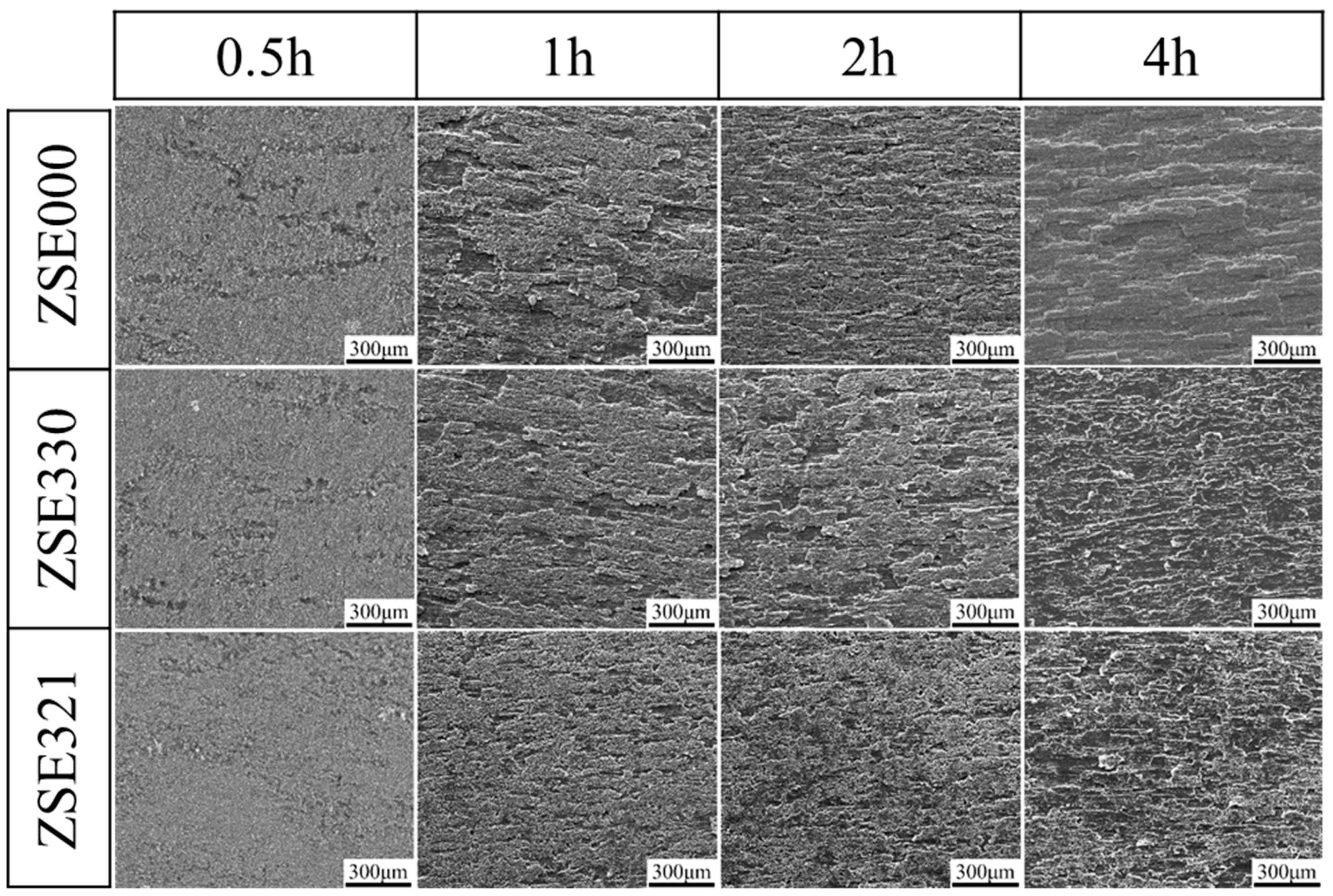 Metals 14 01013 g017