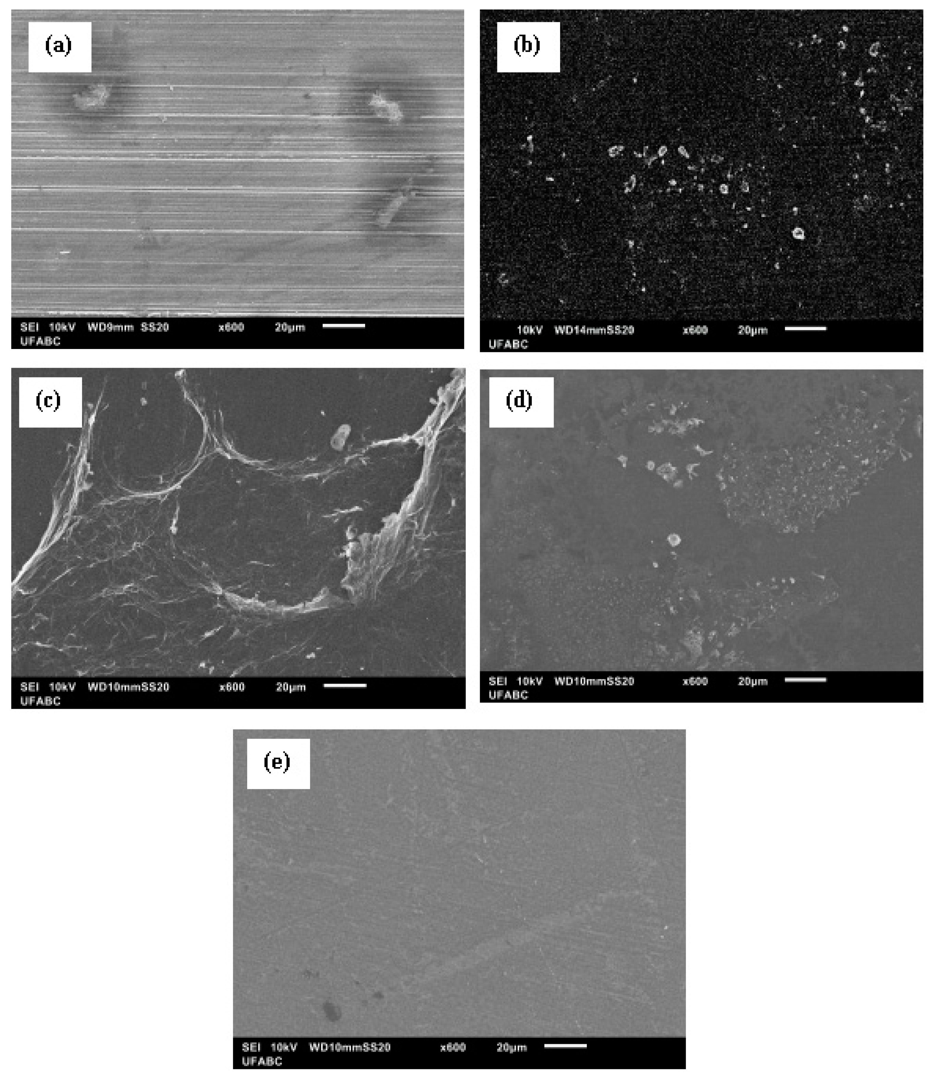 Metals 14 01019 g002 Metals 14 01019 g002