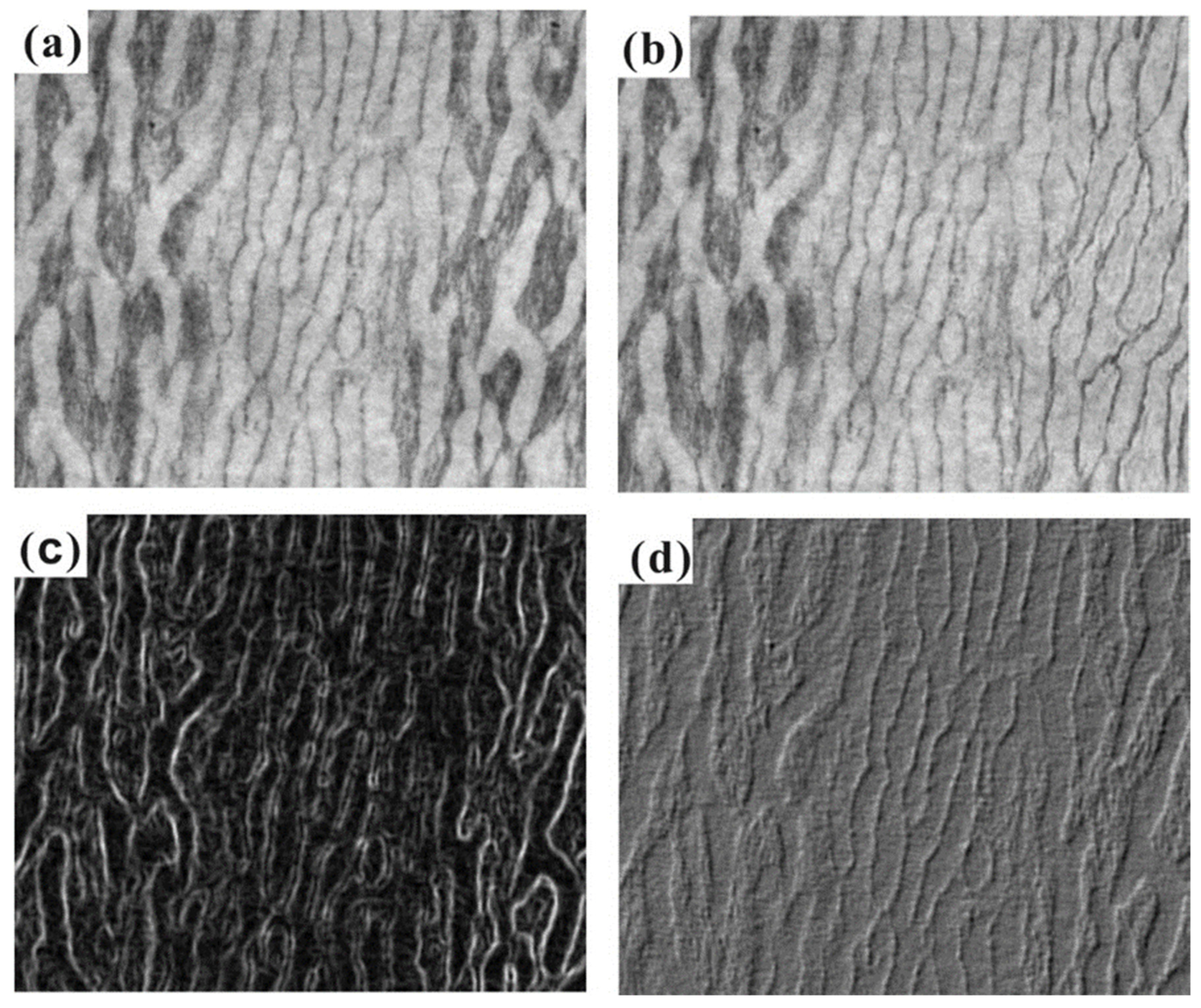 Metals 14 01023 g007