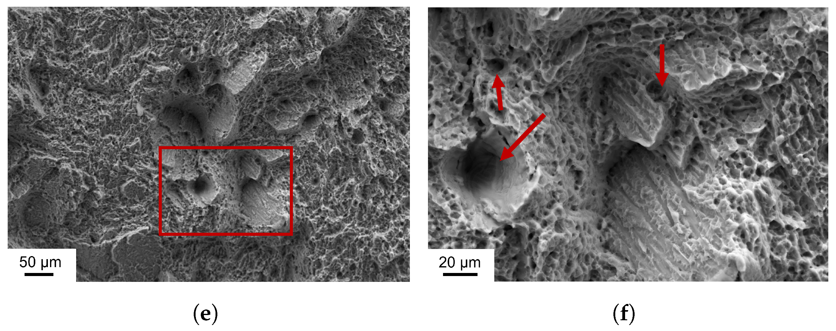 Metals 14 01028 g011b