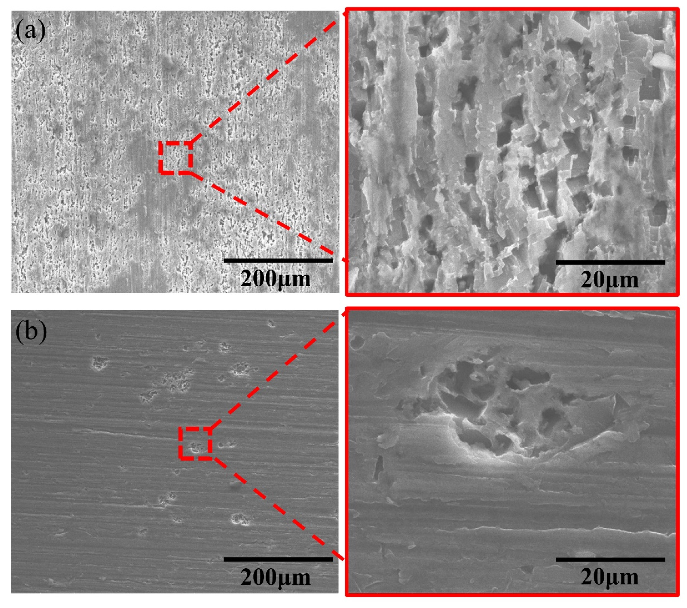 Metals 14 01030 g013