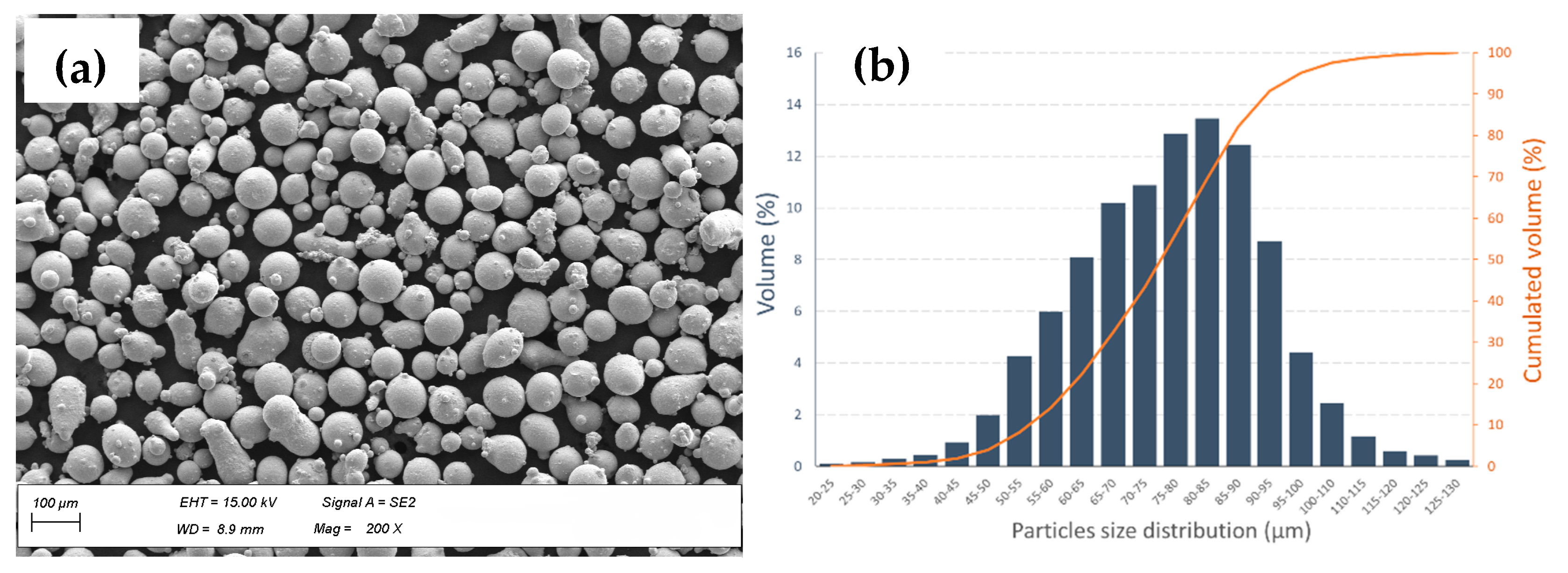 Metals 14 01031 g001