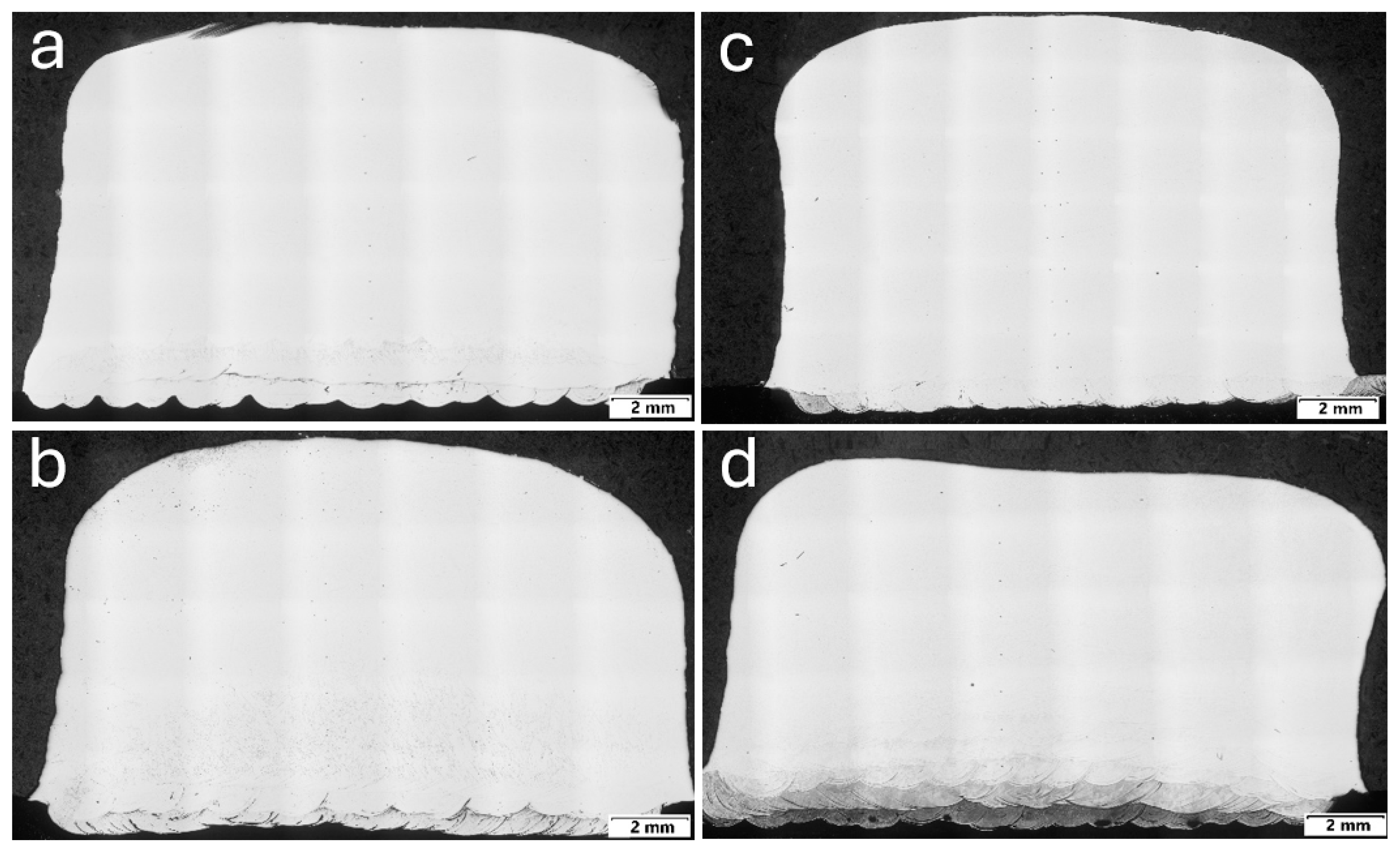 Metals 14 01031 g010