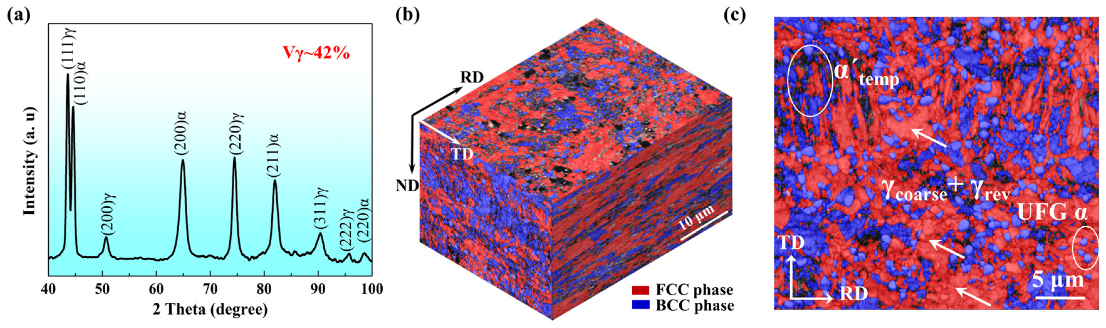 Metals 14 01042 g001