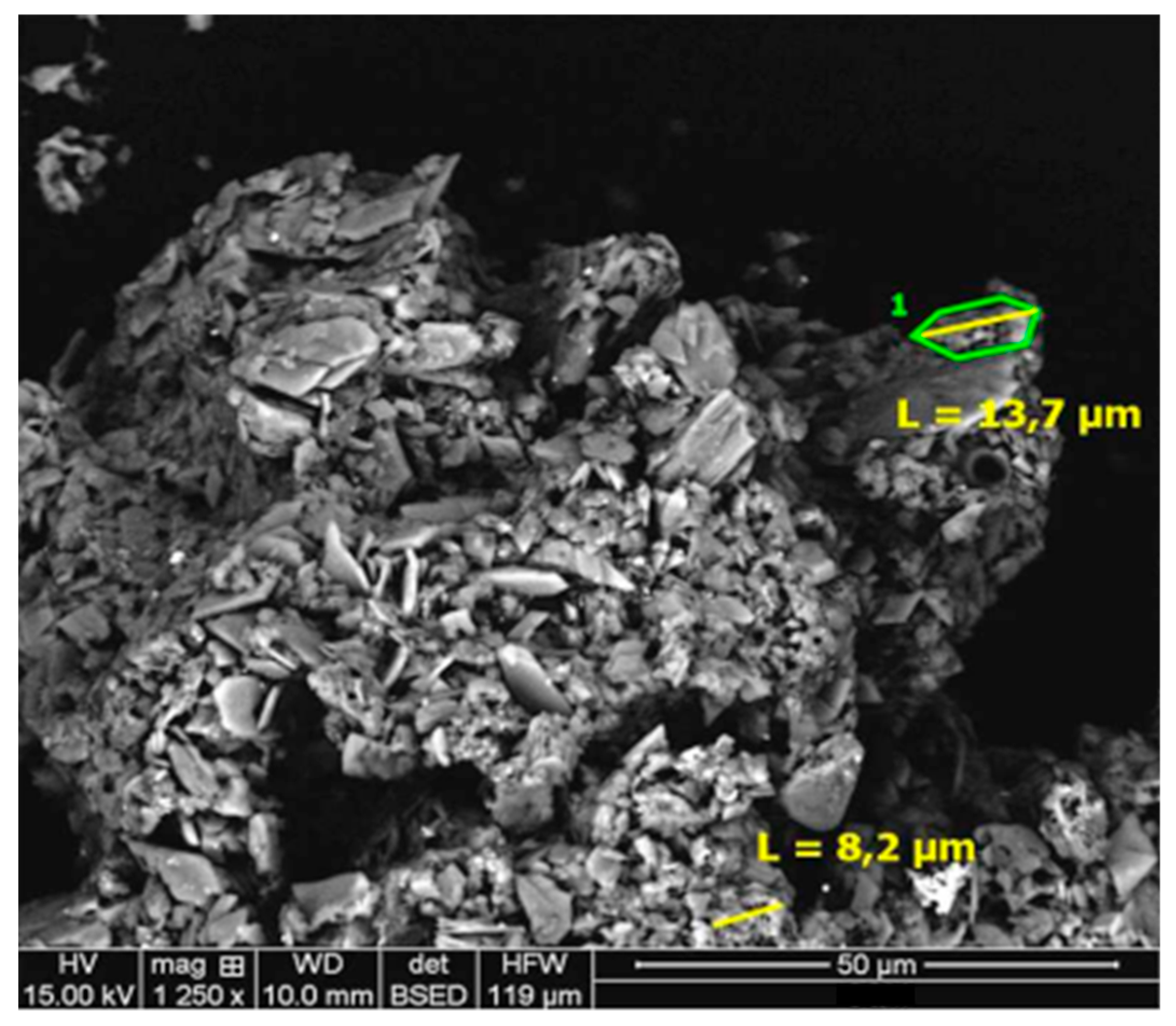 Metals 14 01044 g006