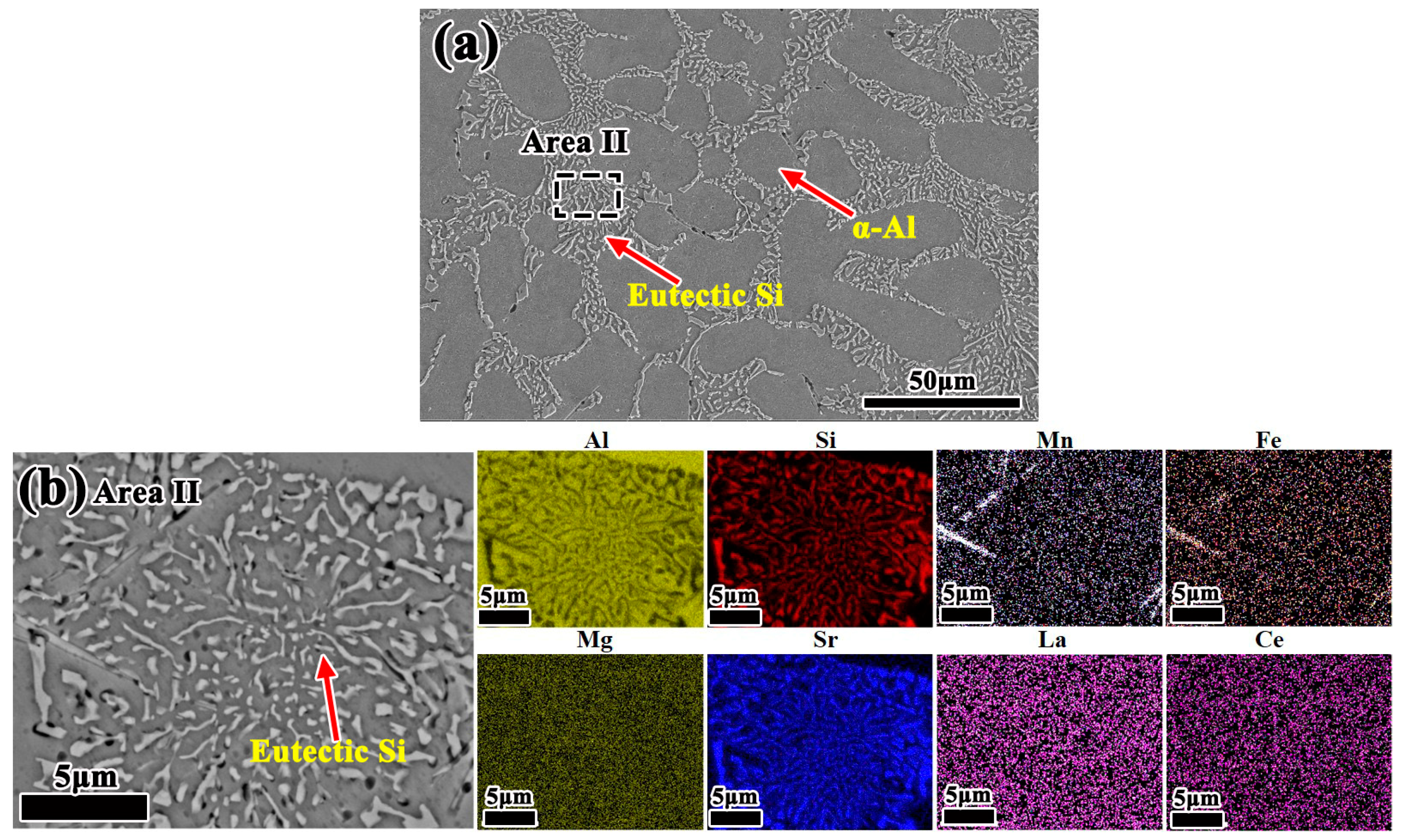 Metals 14 01050 g008