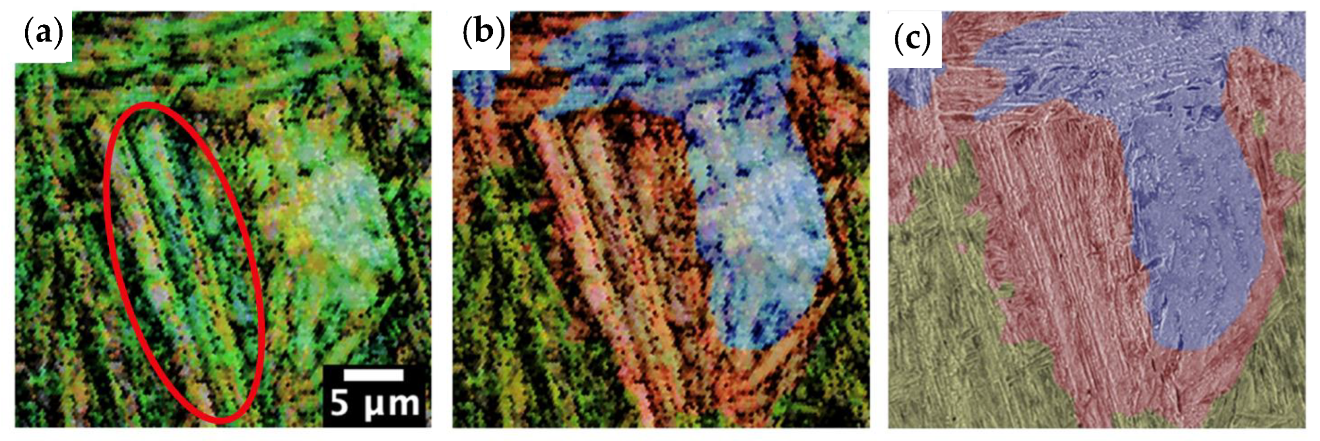 Metals 14 01051 g007