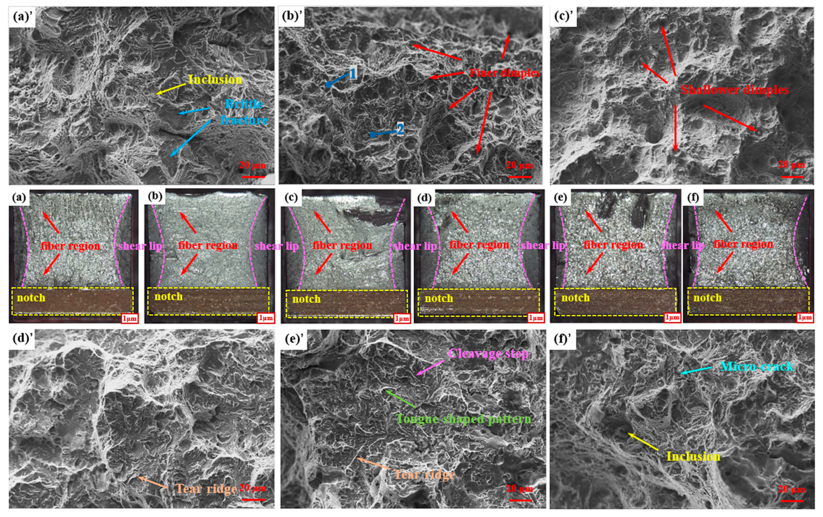 Metals 14 01054 g008