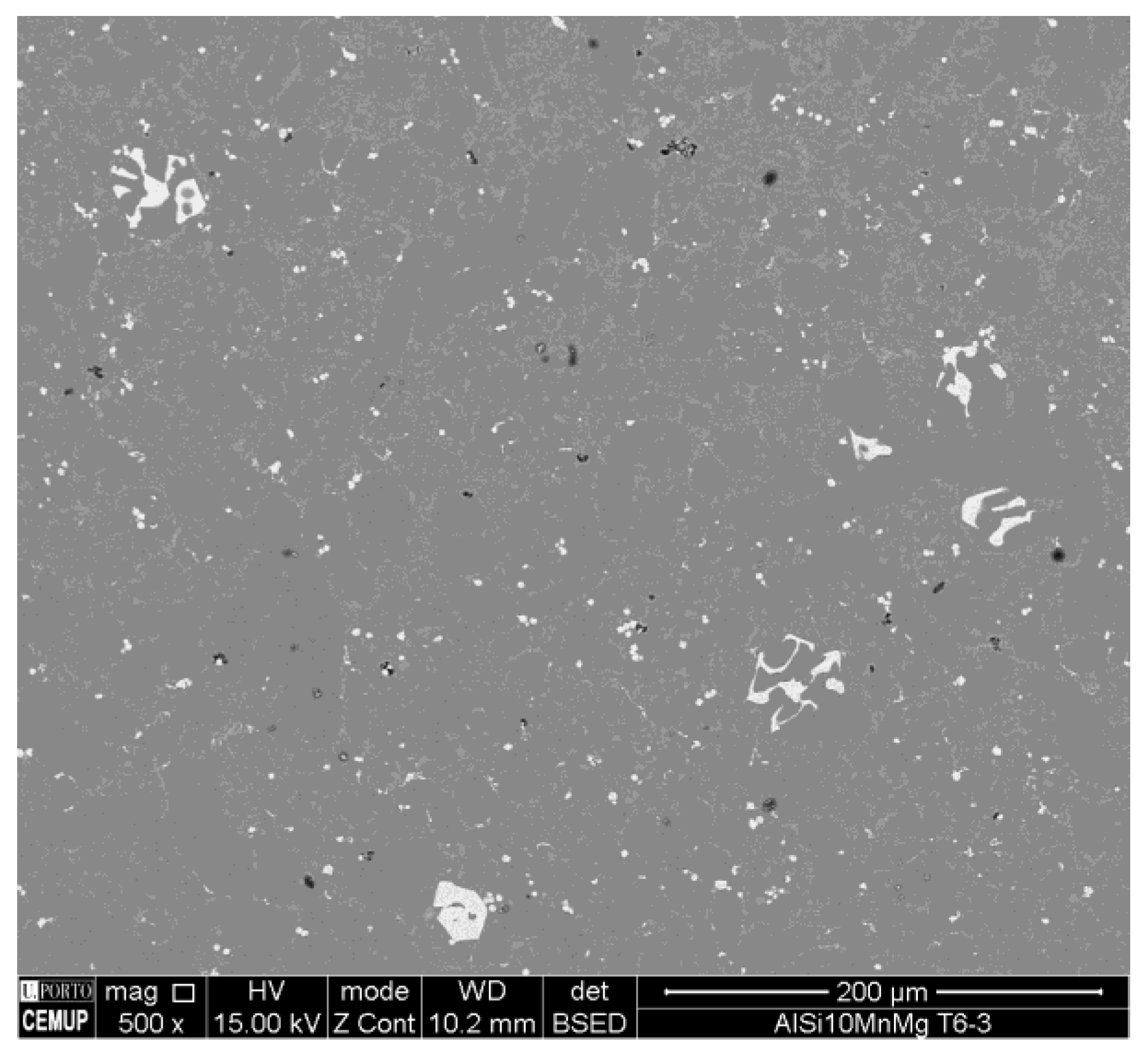 Metals 14 01059 g012