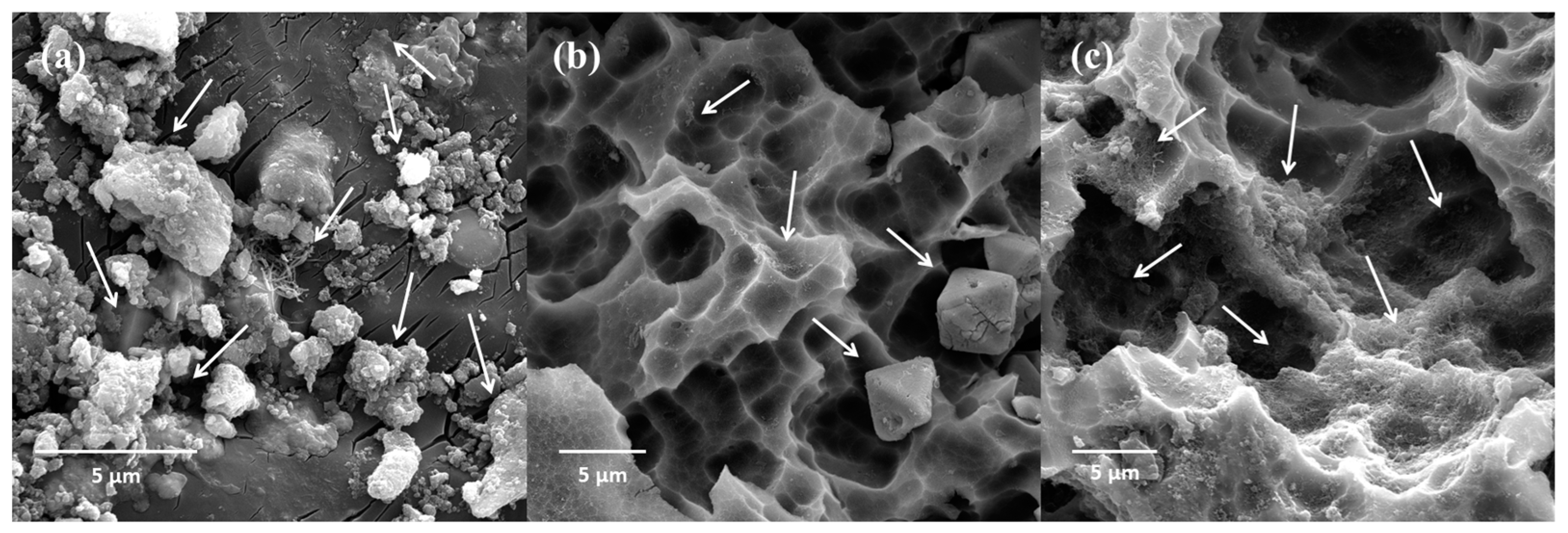 Metals 14 01060 g005