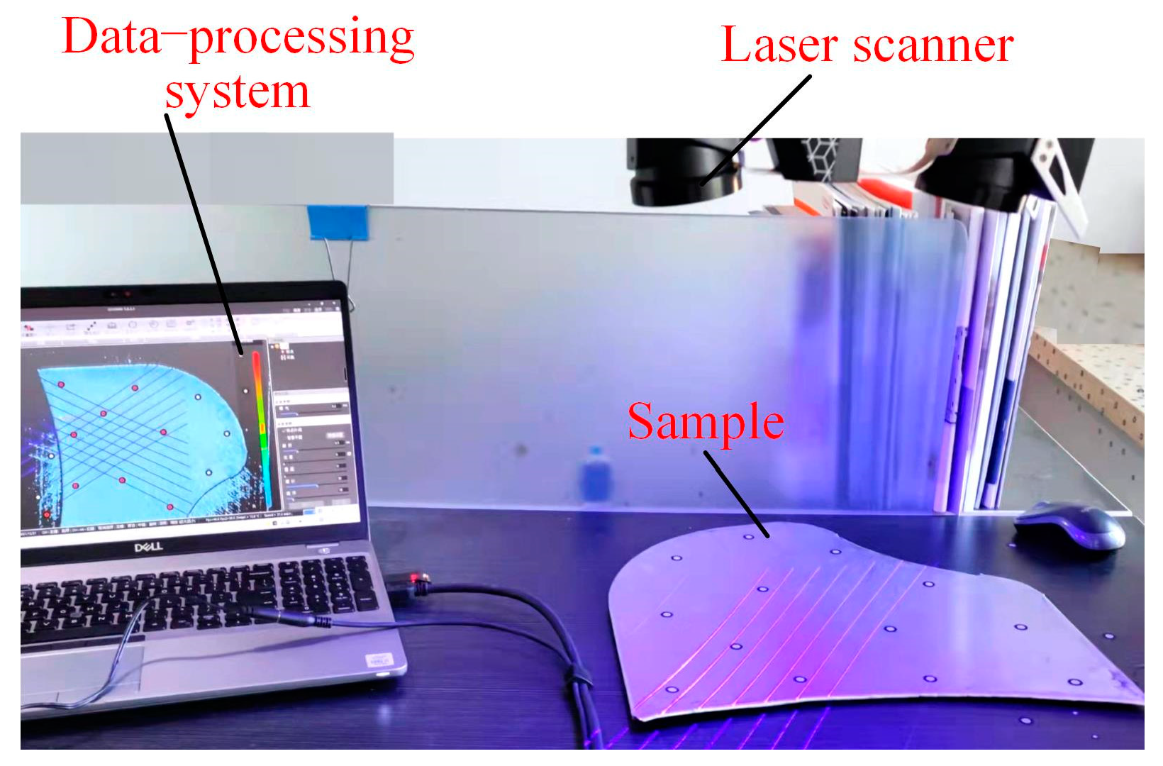 Metals 14 01063 g011