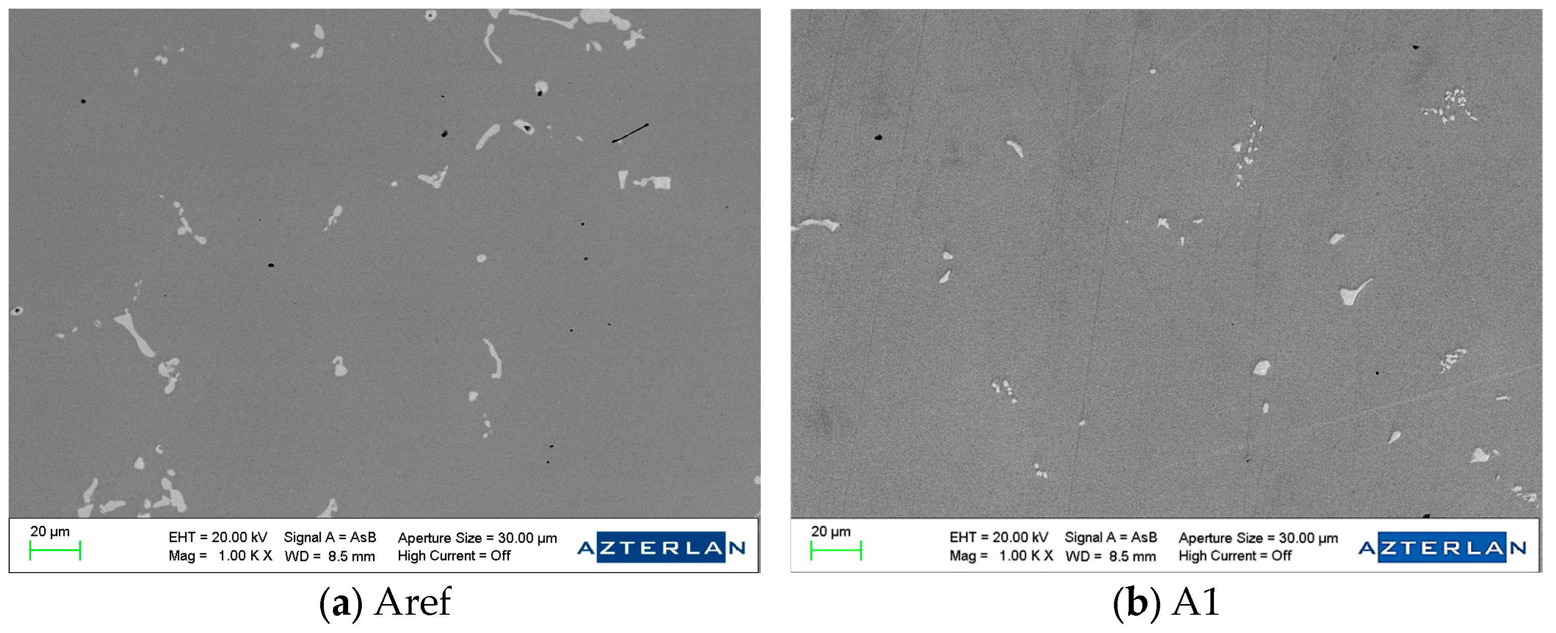 Metals 14 01067 g006