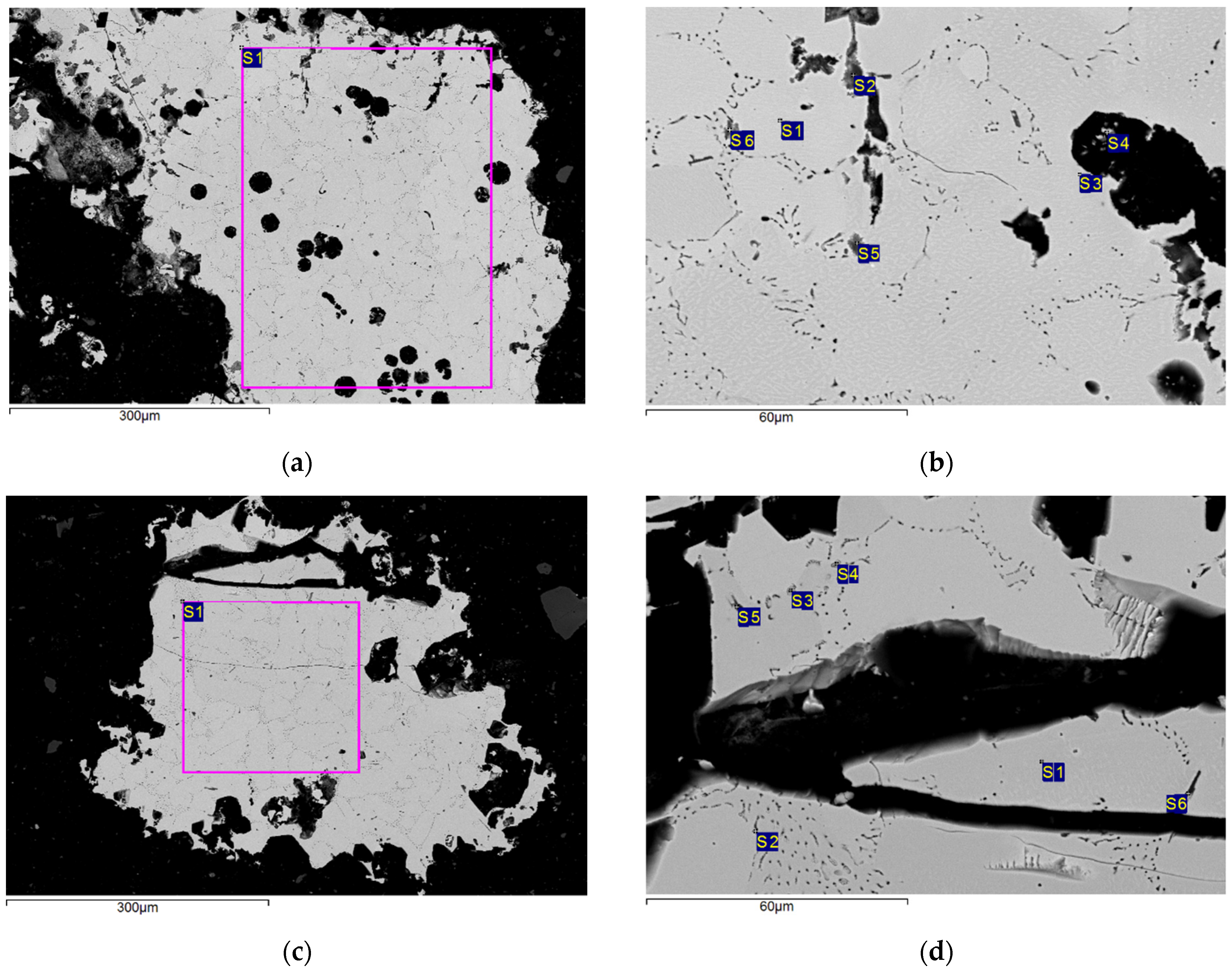 Metals 14 01077 g007