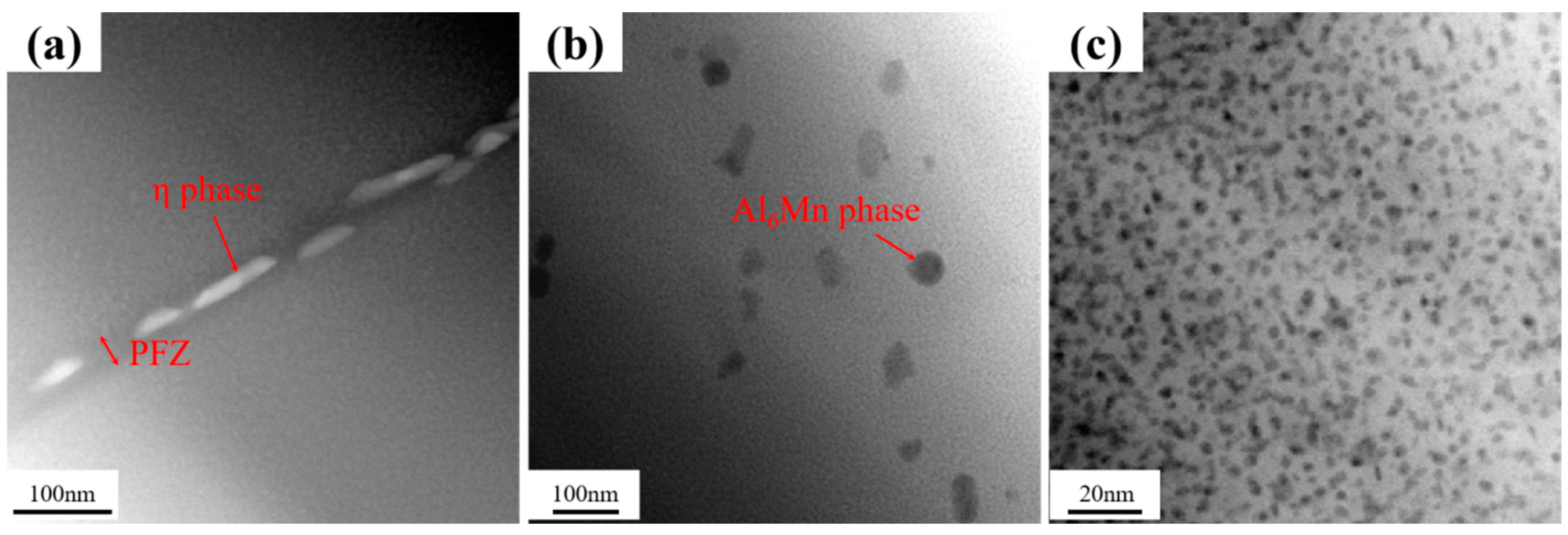 Metals 14 01093 g007