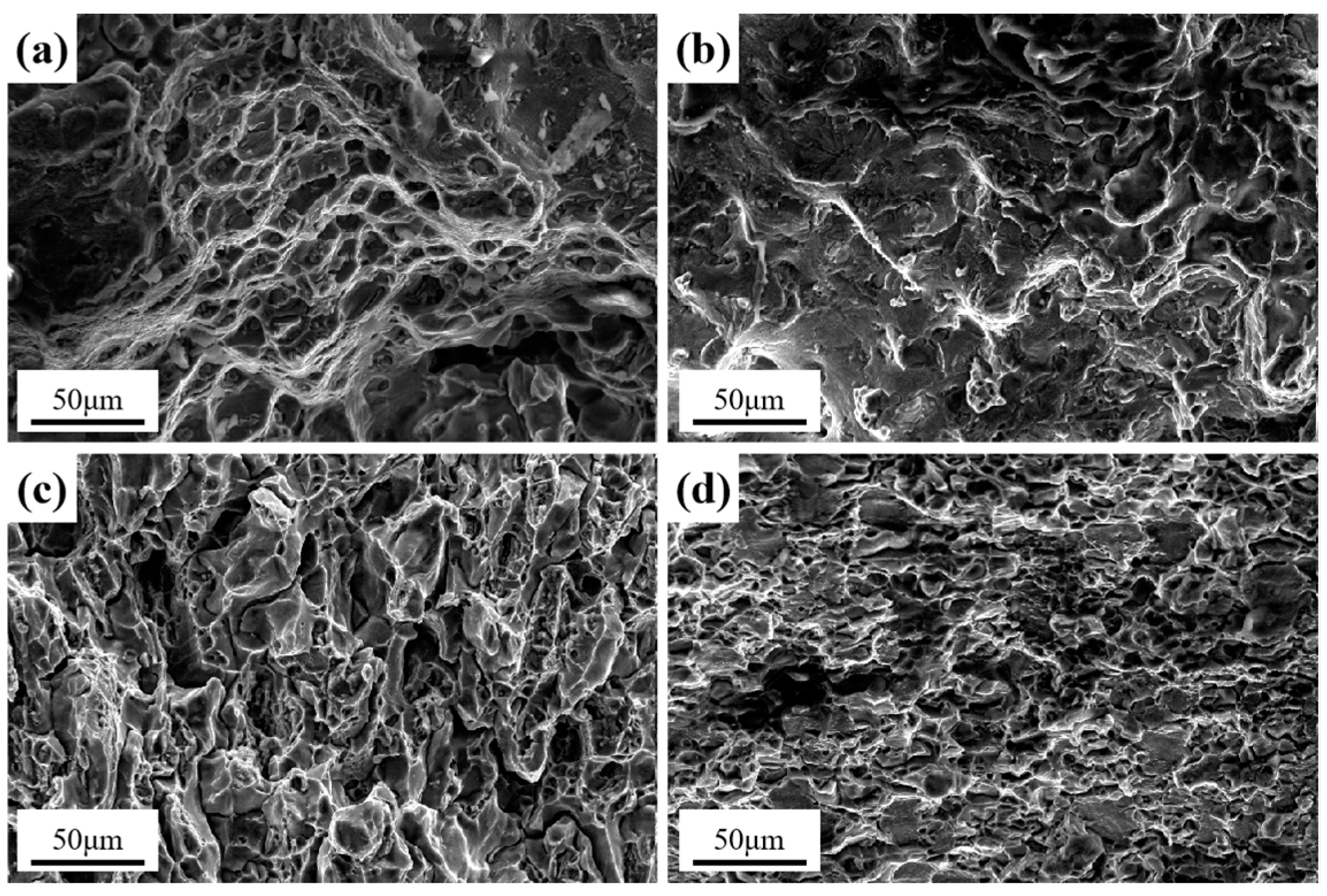 Metals 14 01093 g010