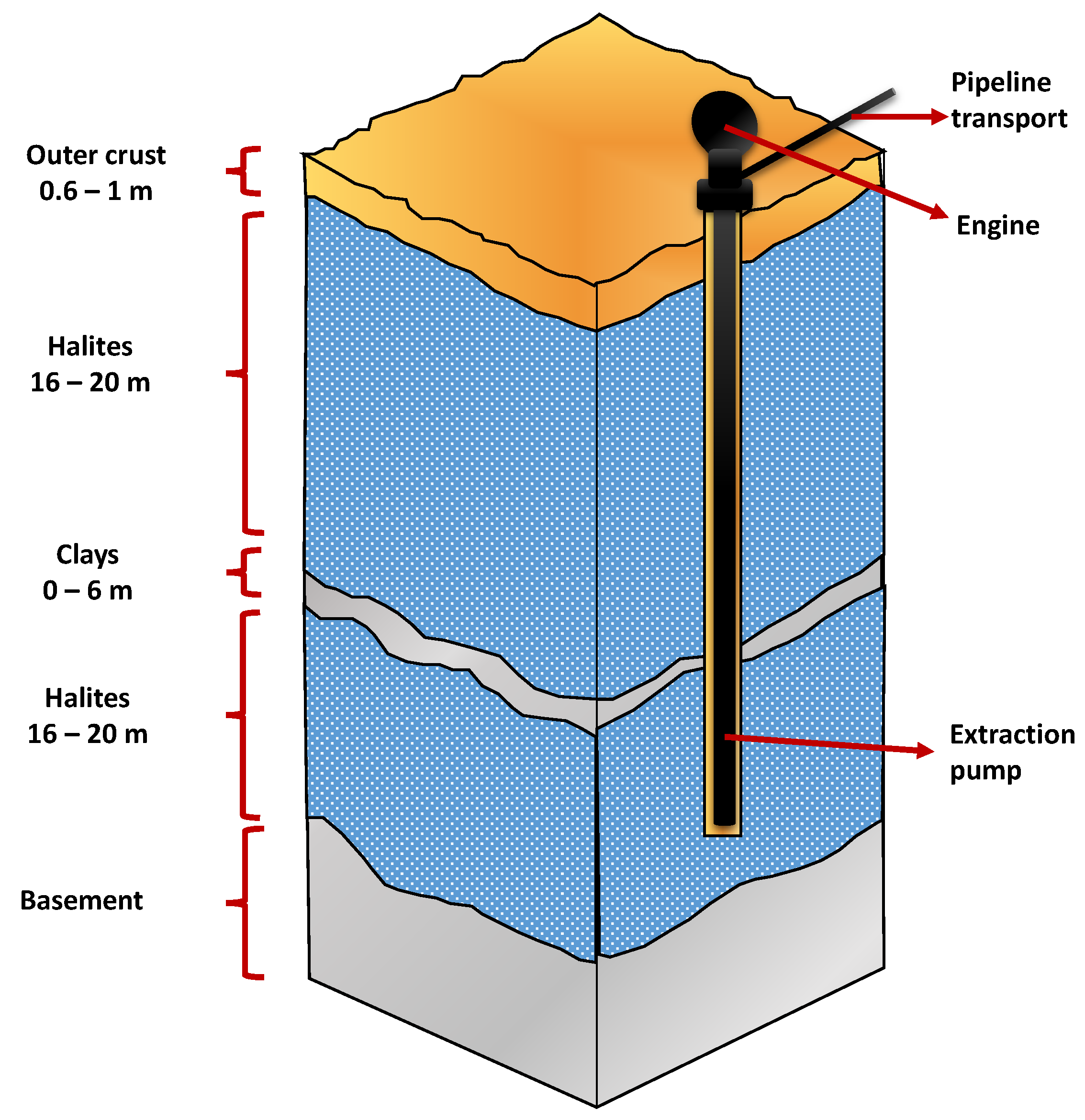 Metals 14 01095 g007