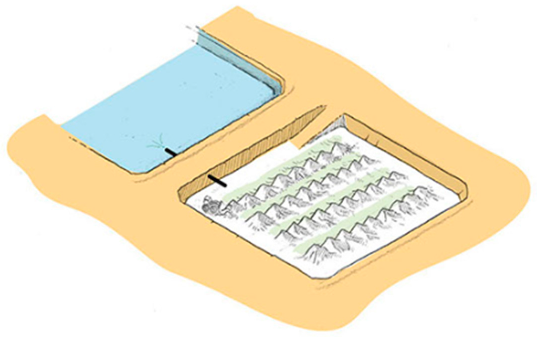 Metals 14 01095 g012