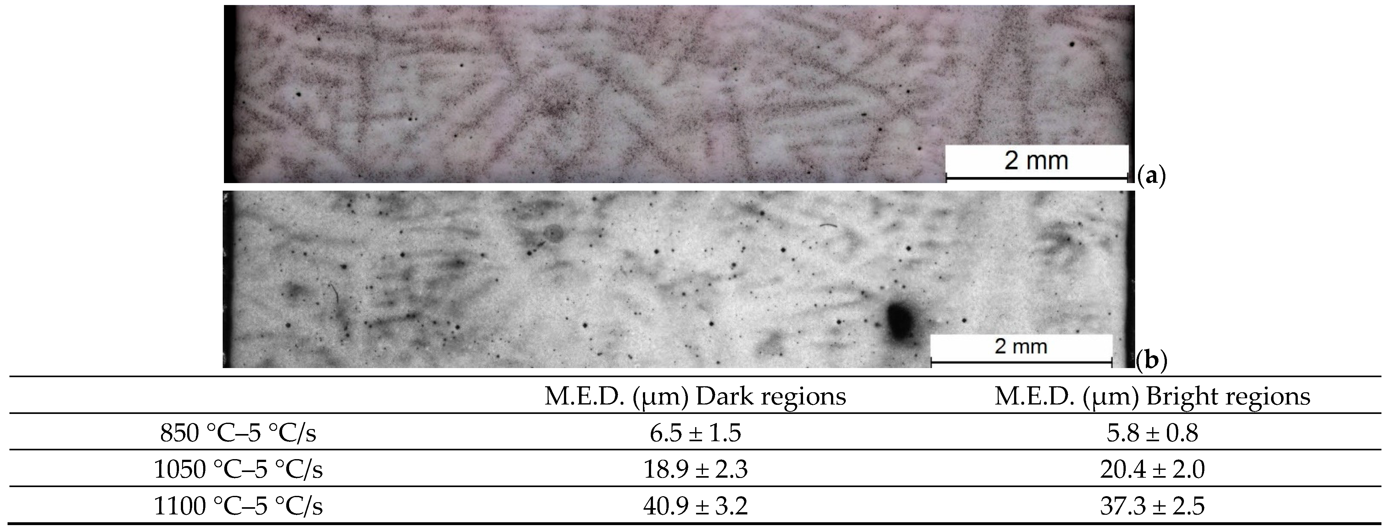 Metals 14 01096 g005