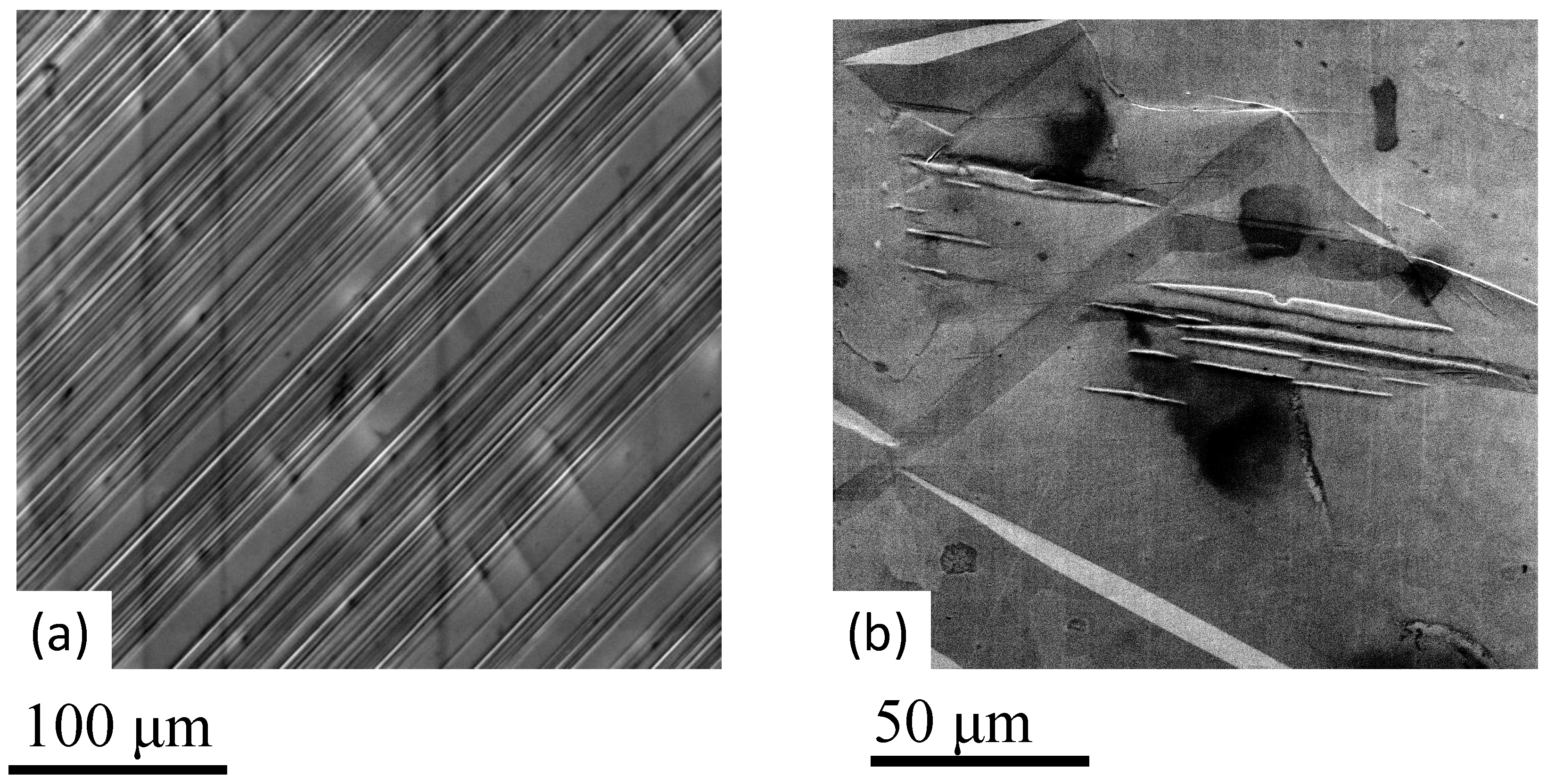 Metals 14 01101 g005