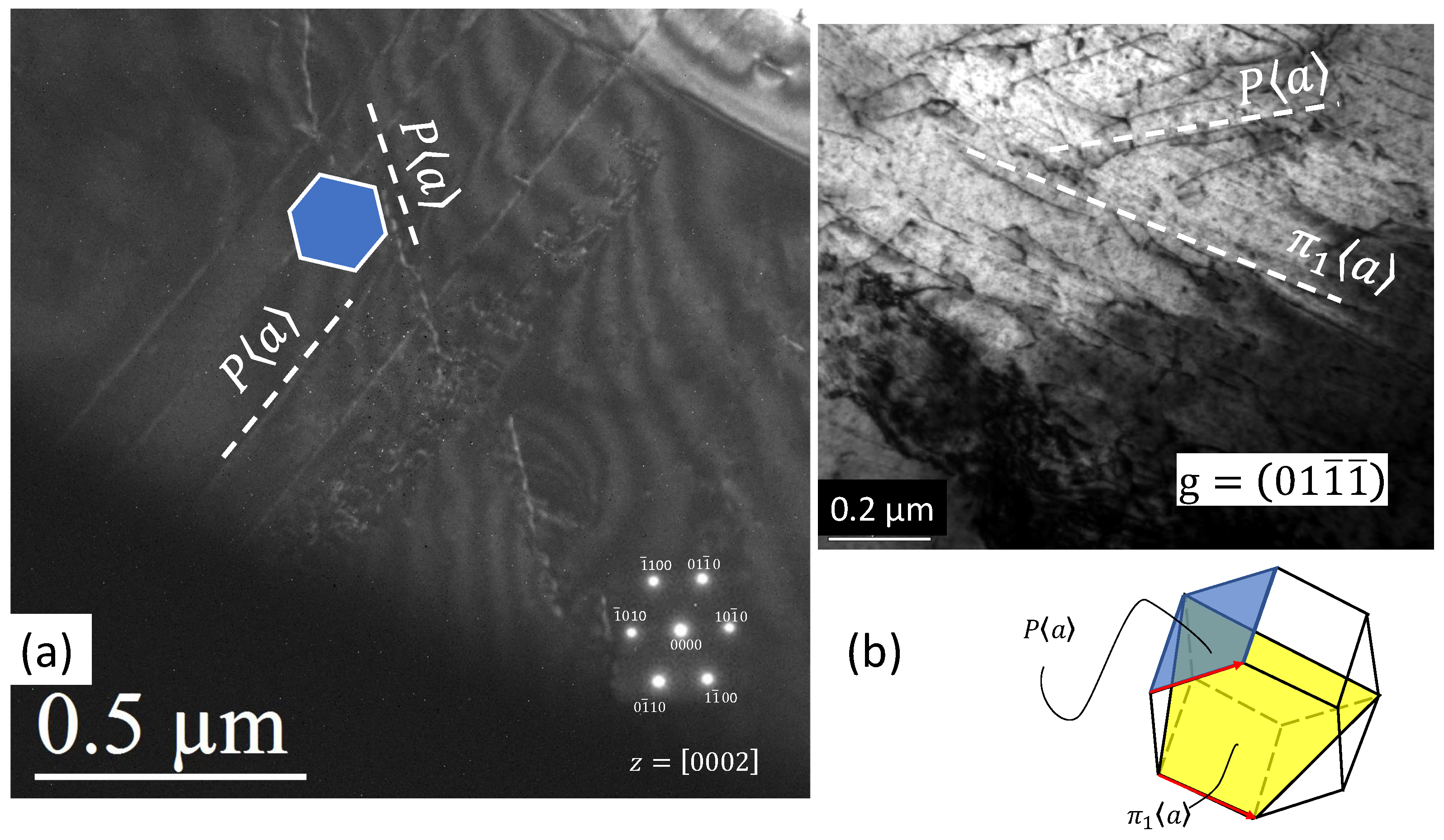 Metals 14 01101 g009