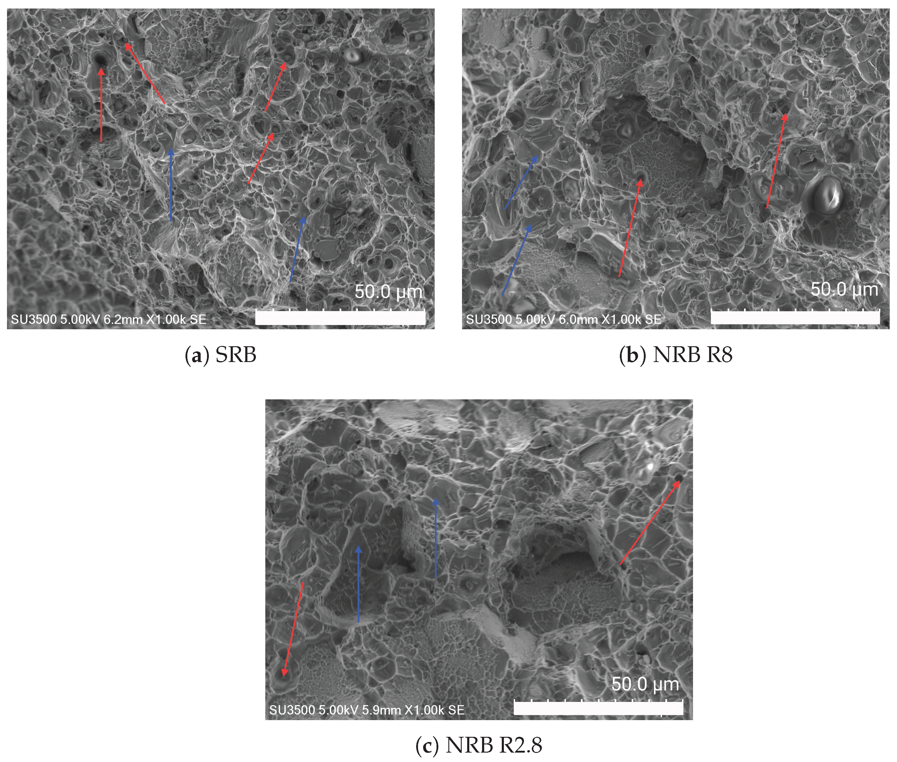 Metals 14 01103 g008
