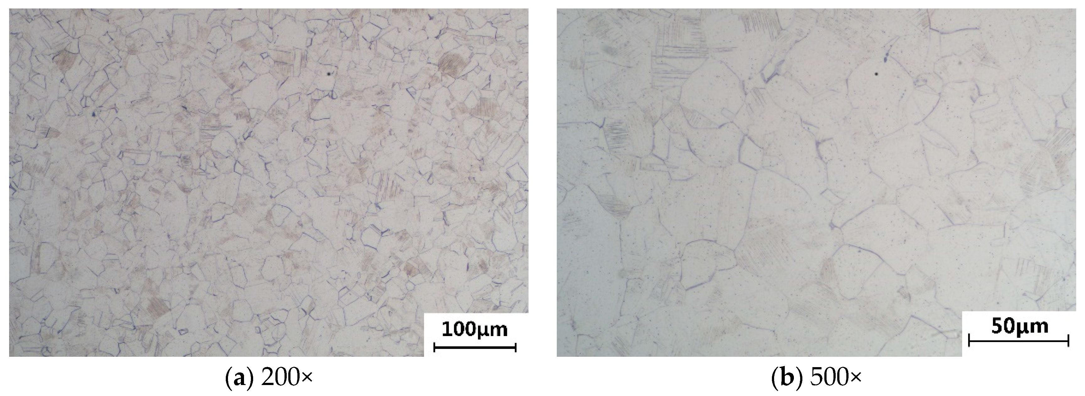 Metals 14 01104 g001