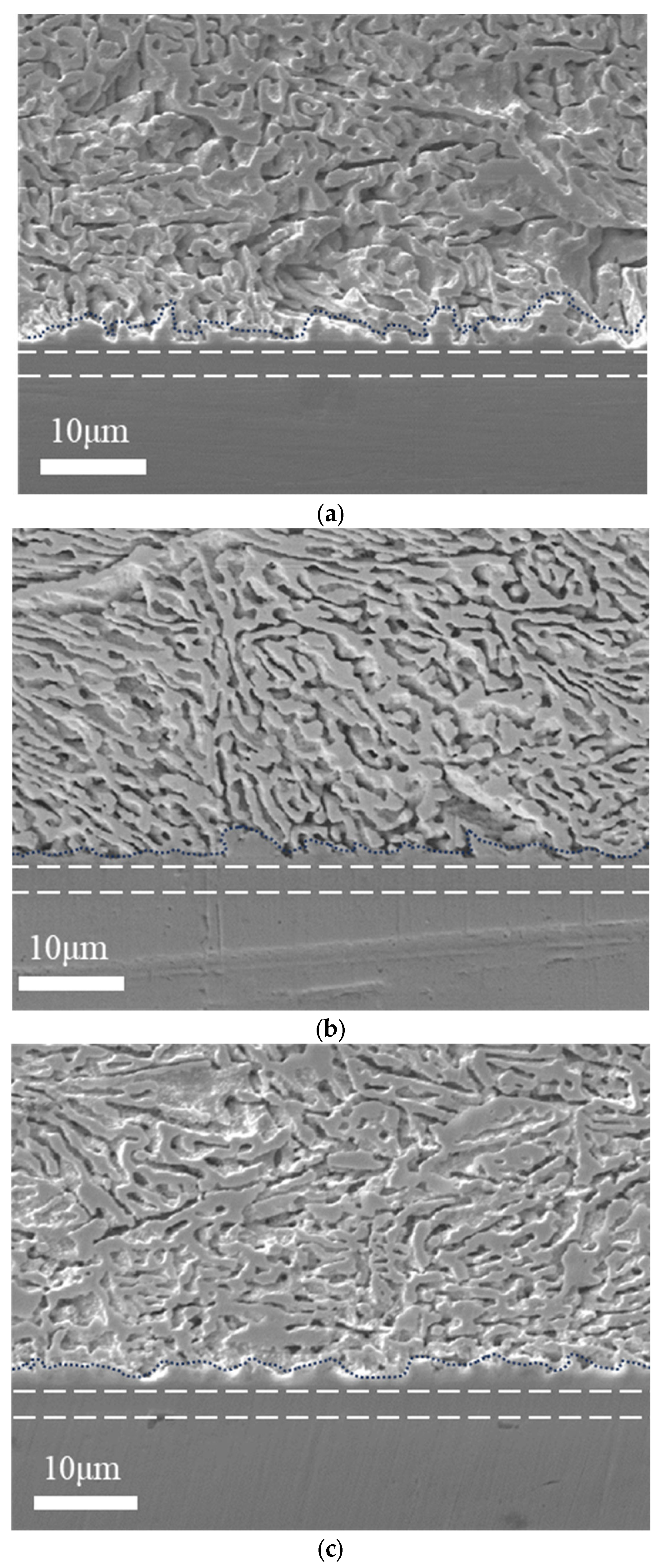 Metals 14 01107 g004
