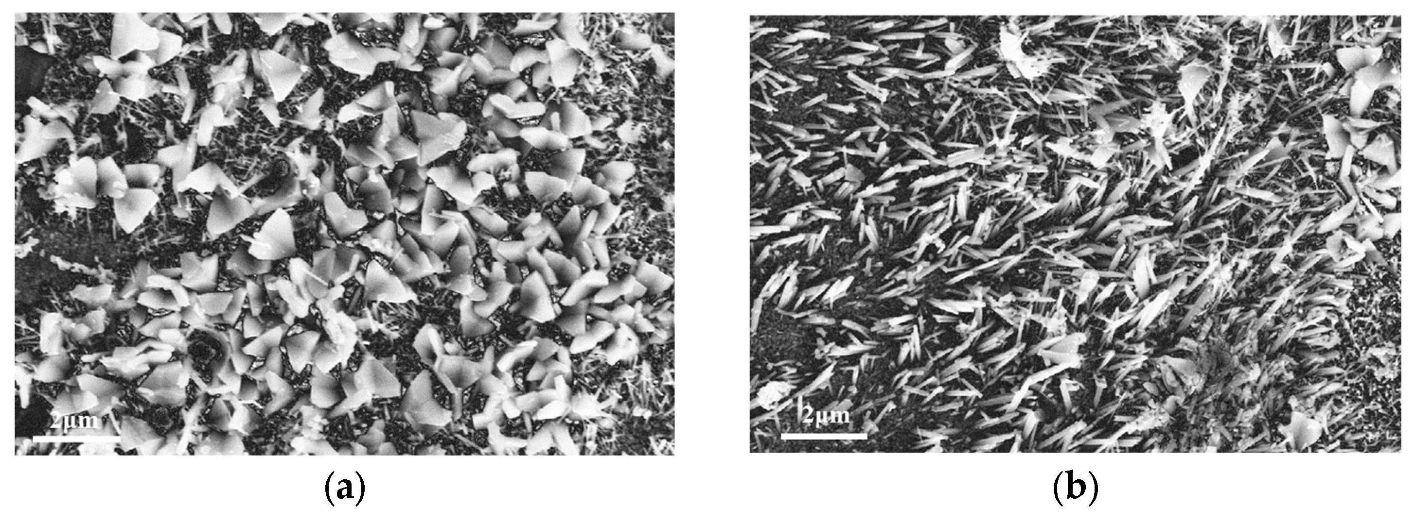 Metals 14 01107 g006