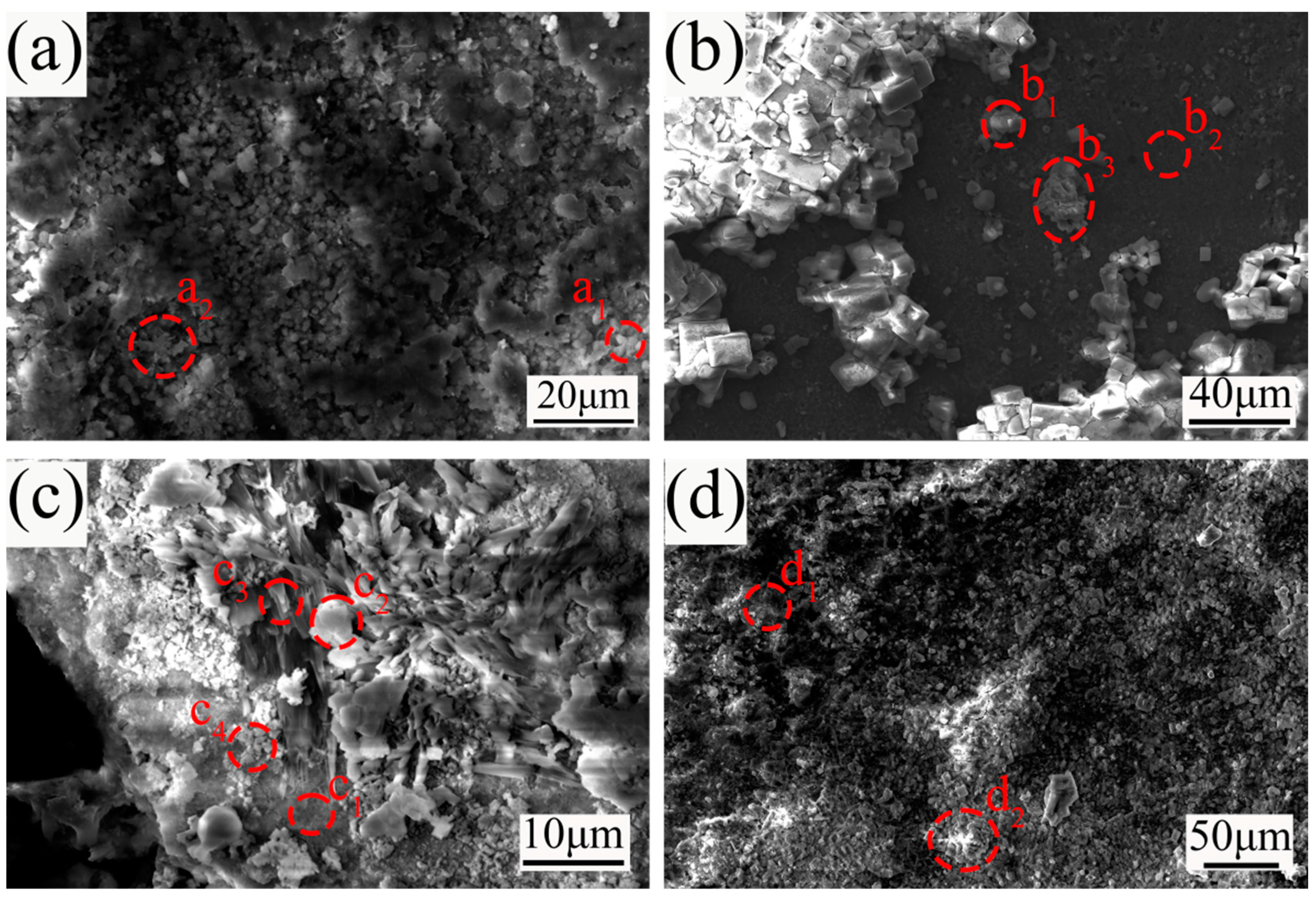 Metals 14 01109 g004