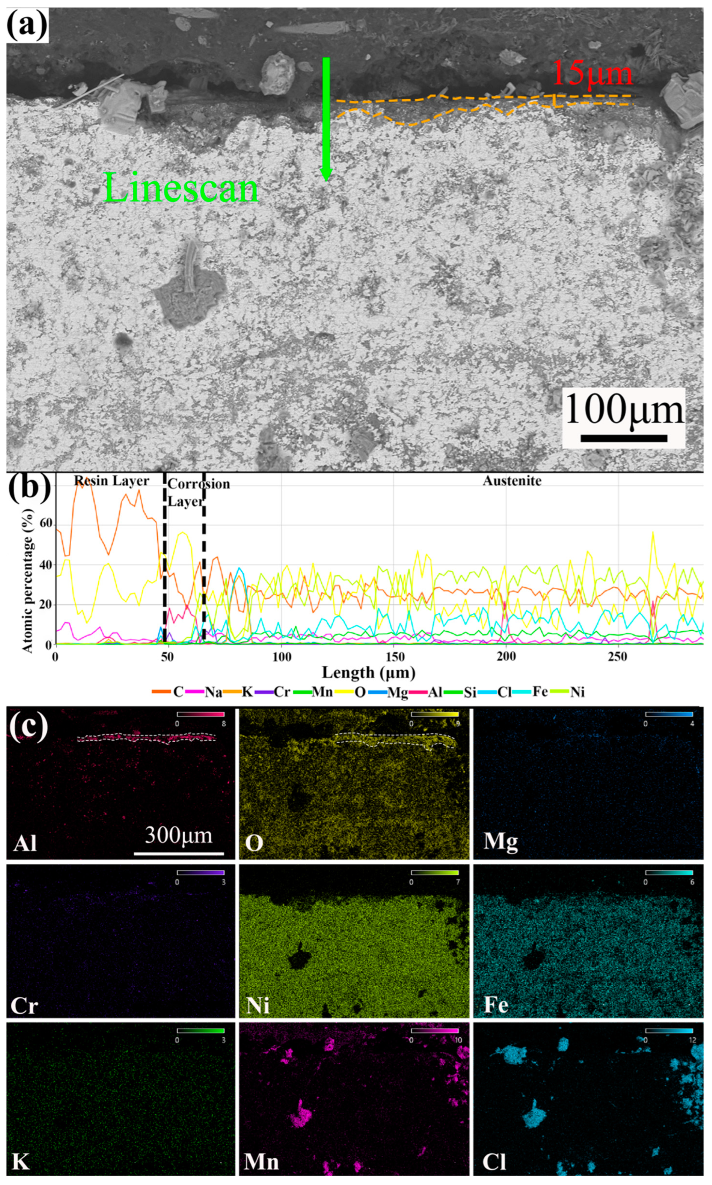Metals 14 01109 g005