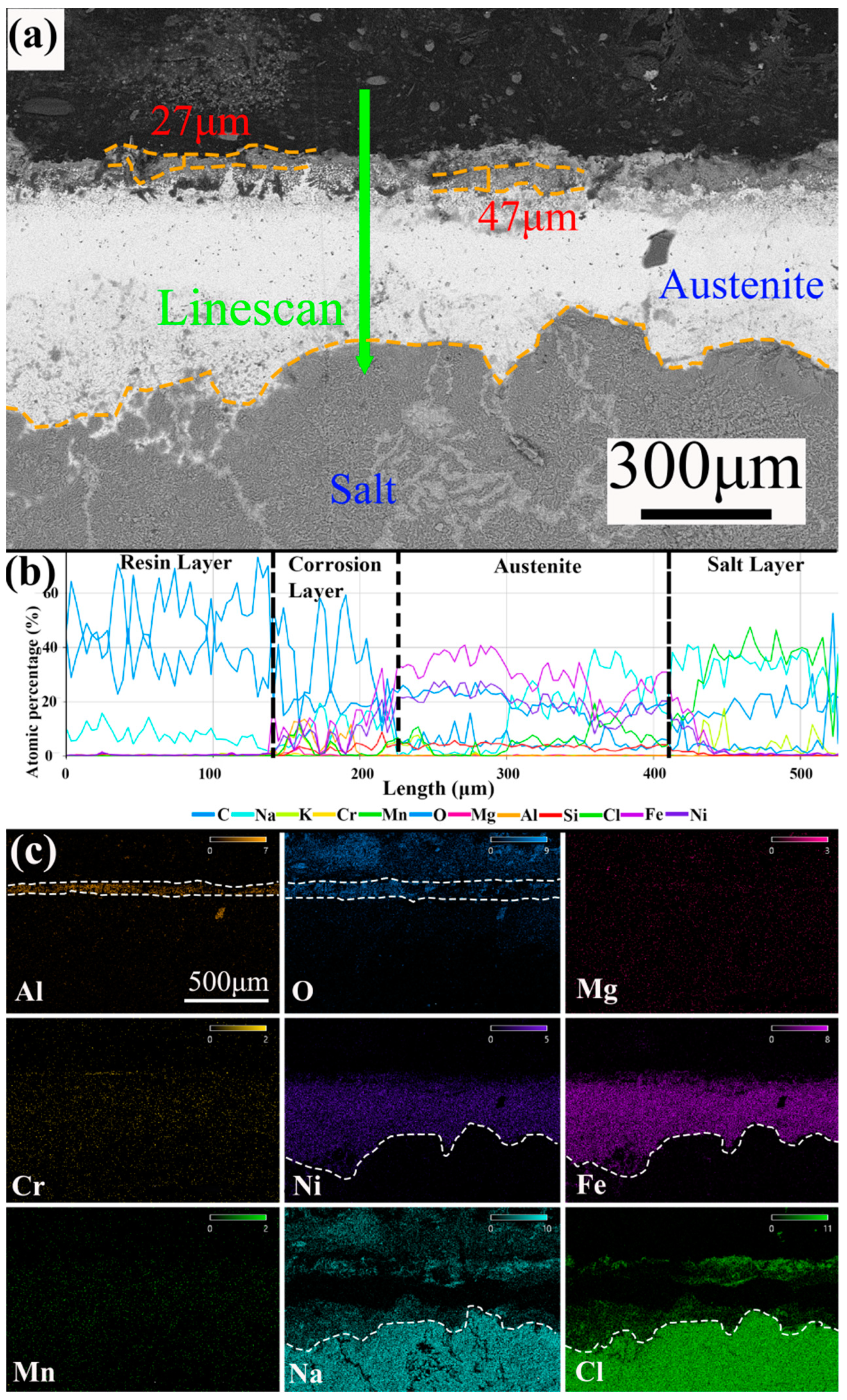 Metals 14 01109 g007
