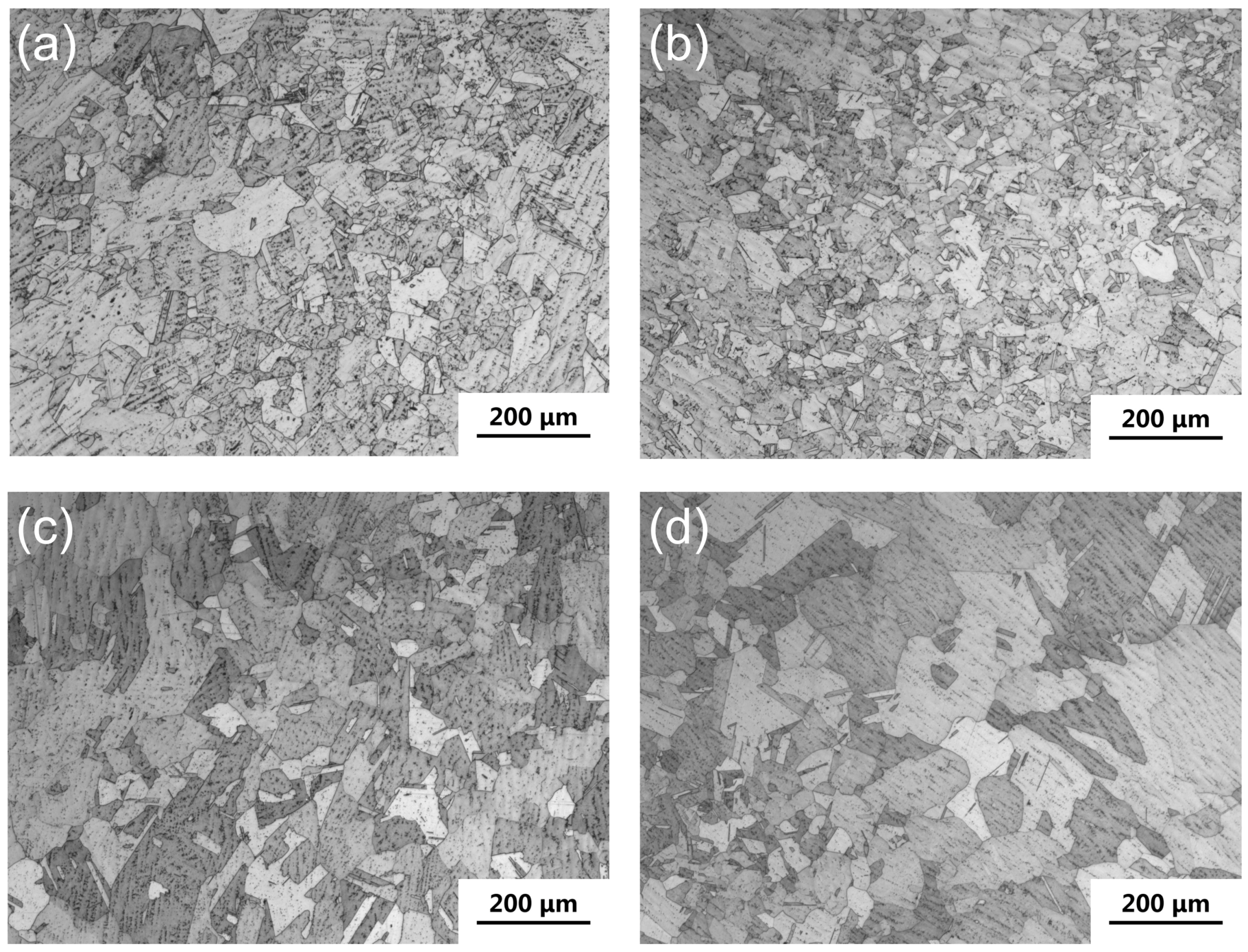 Metals 14 01111 g004