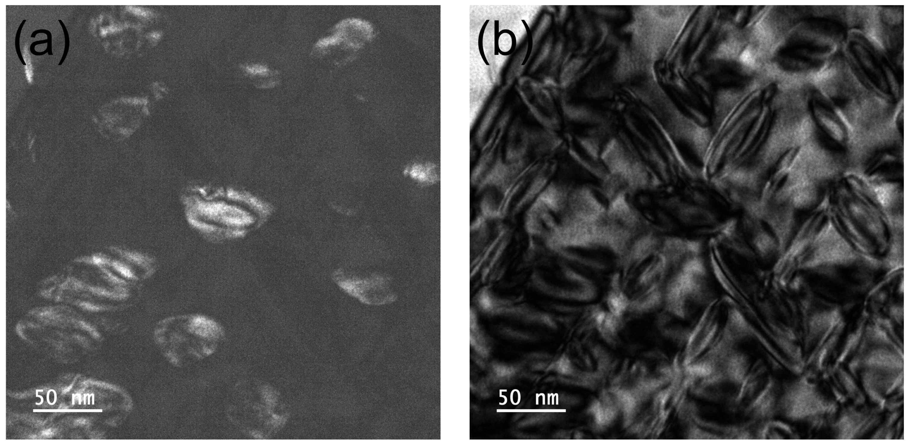 Metals 14 01111 g007