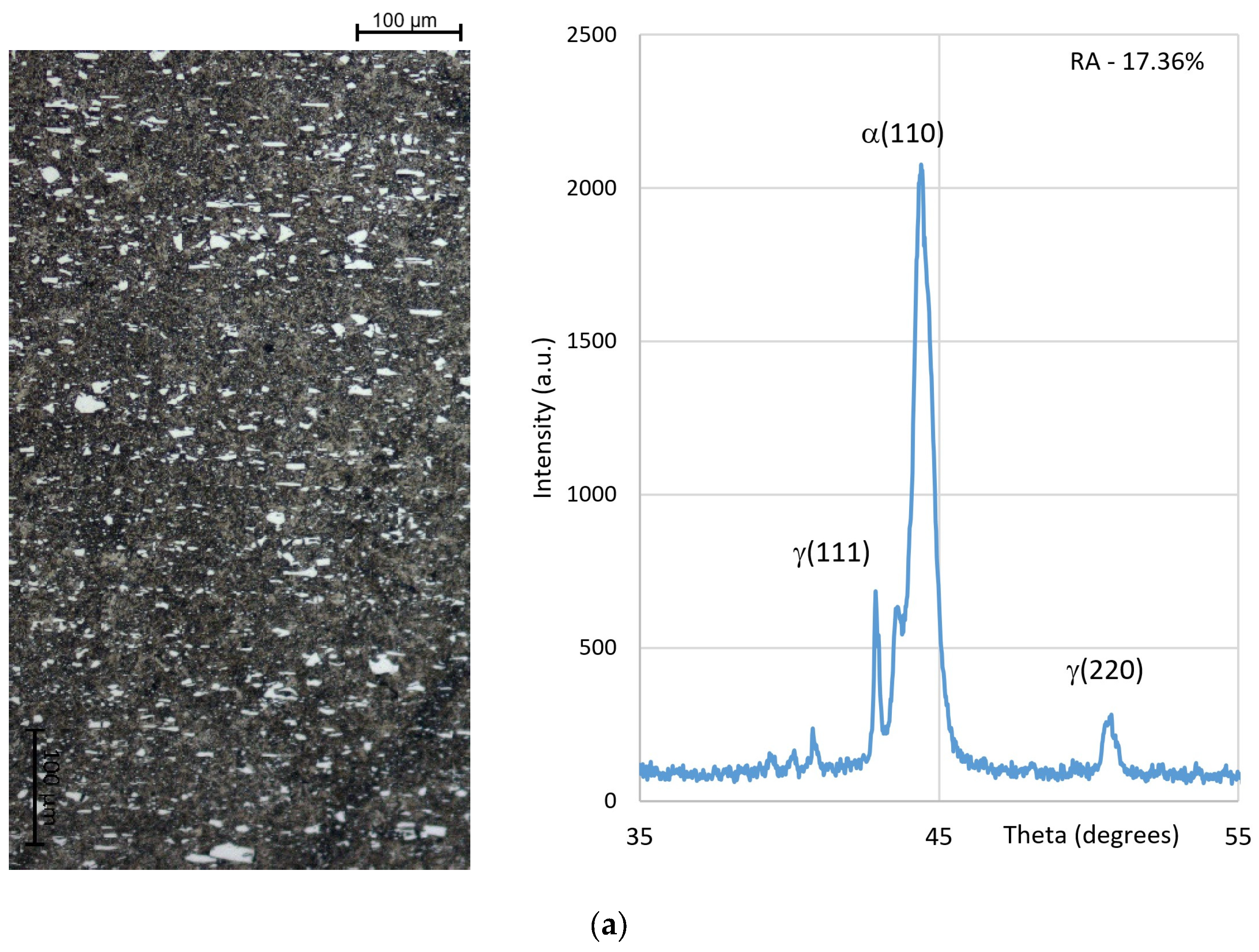 Metals 14 01121 g003a