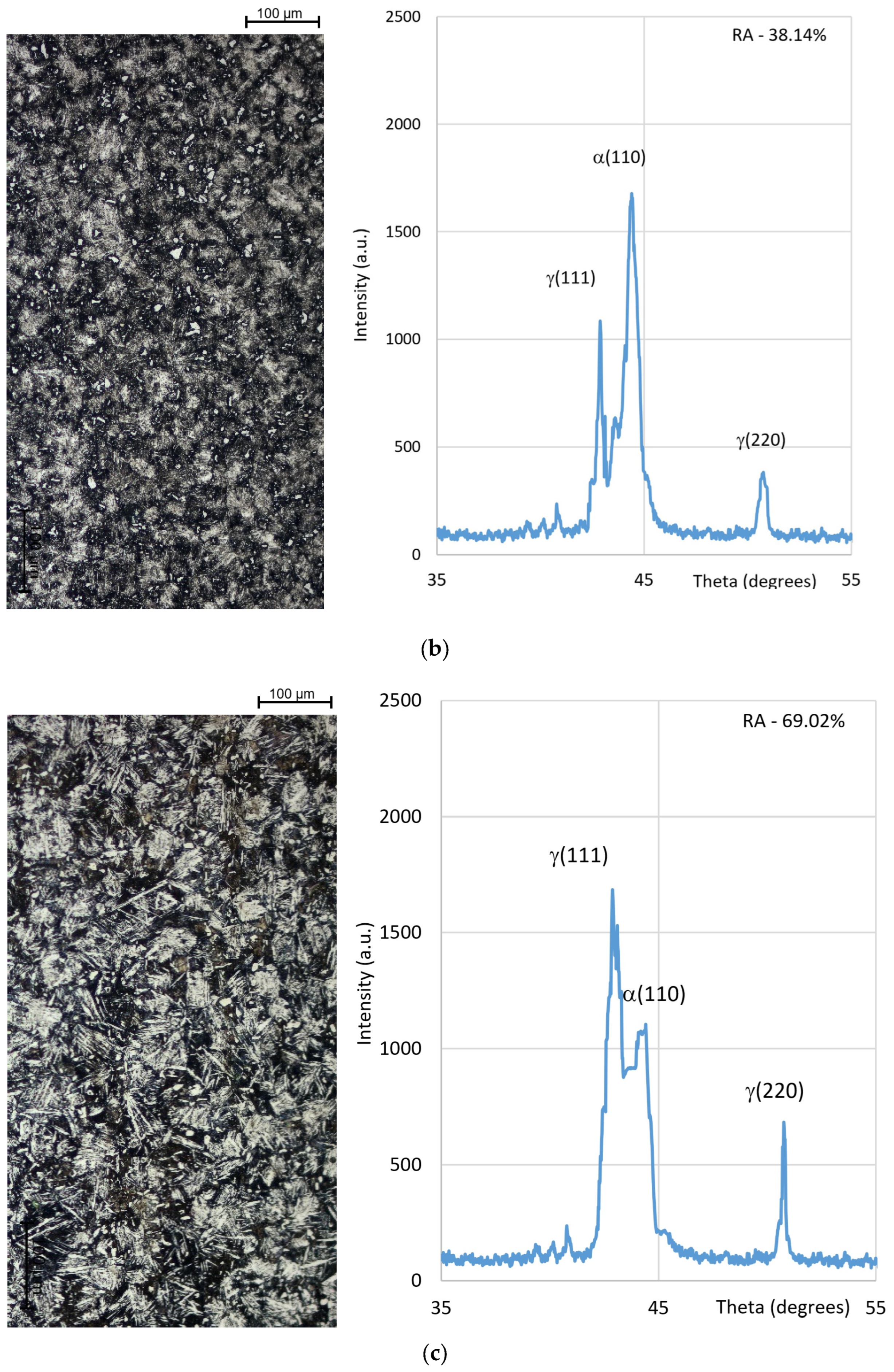 Metals 14 01121 g003b