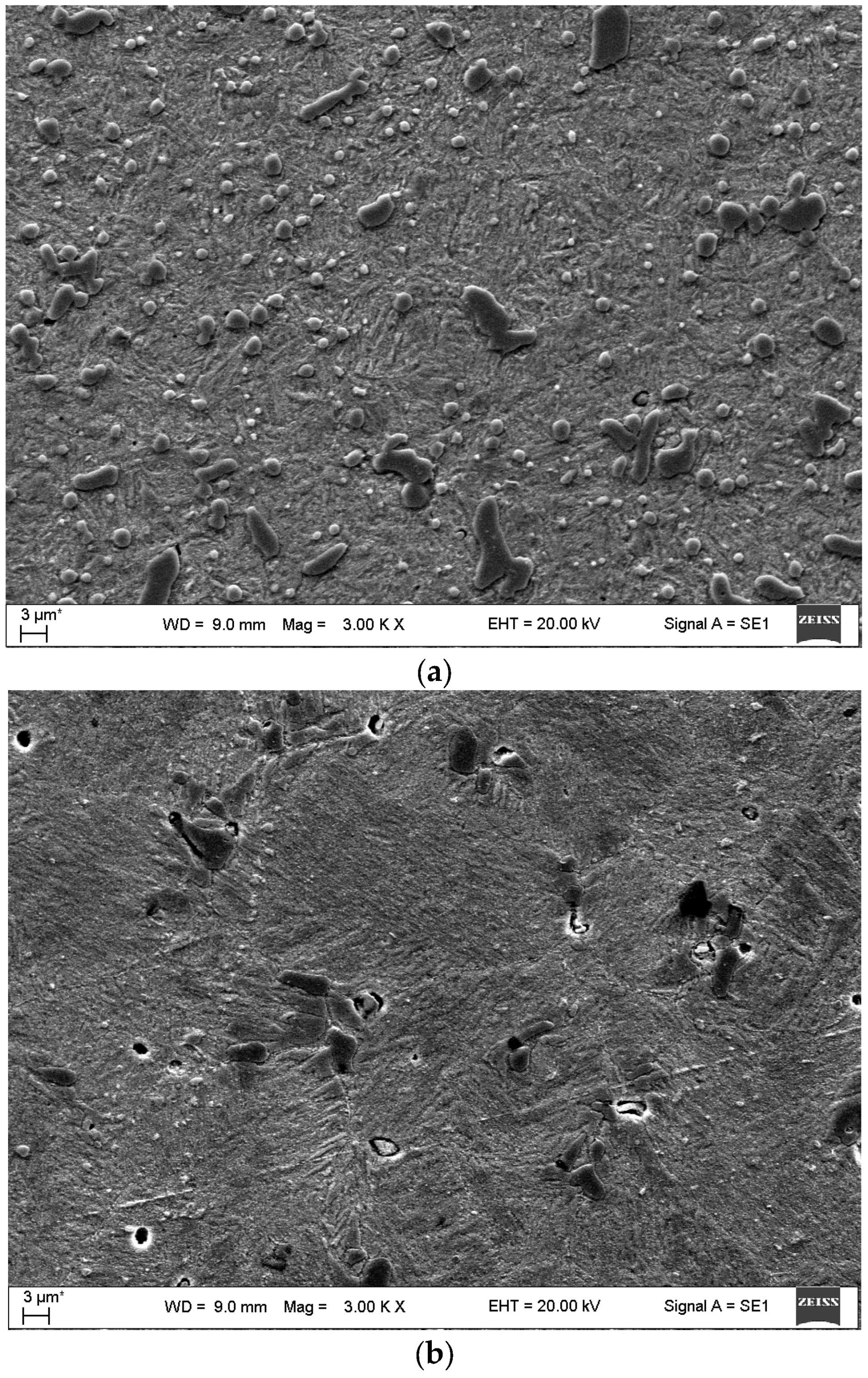 Metals 14 01121 g004a