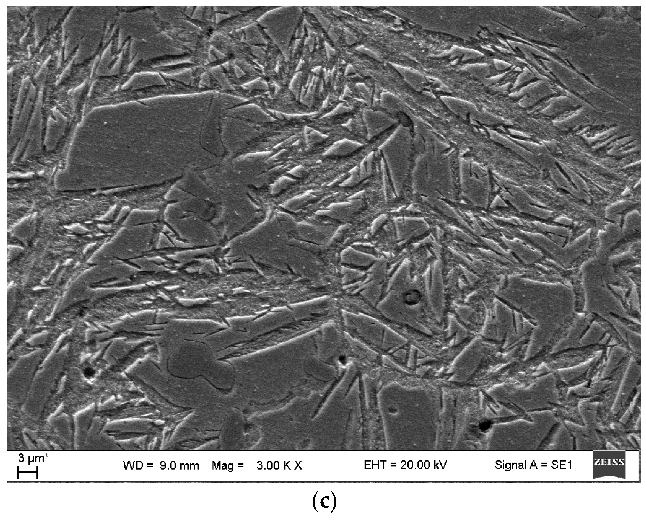 Metals 14 01121 g004b