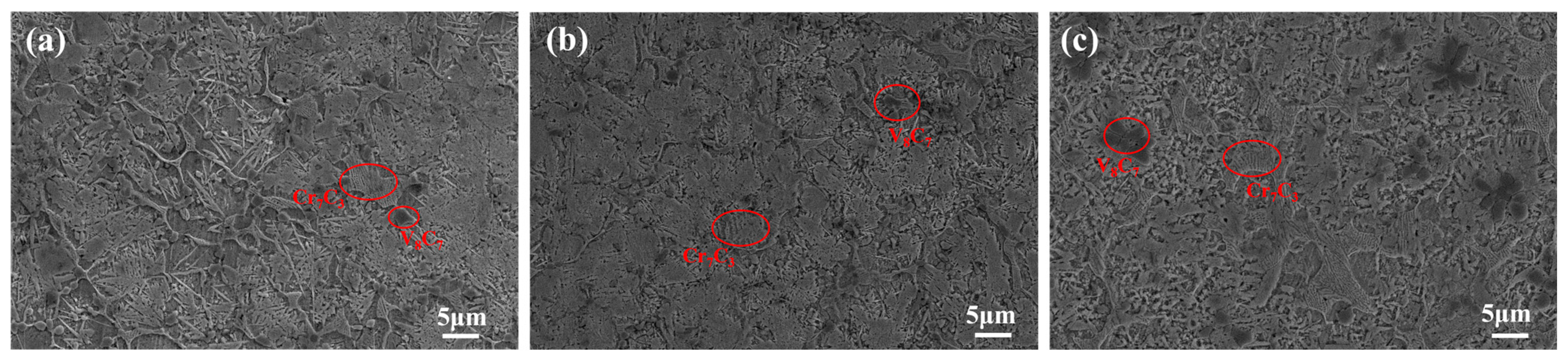 Metals 14 01136 g005