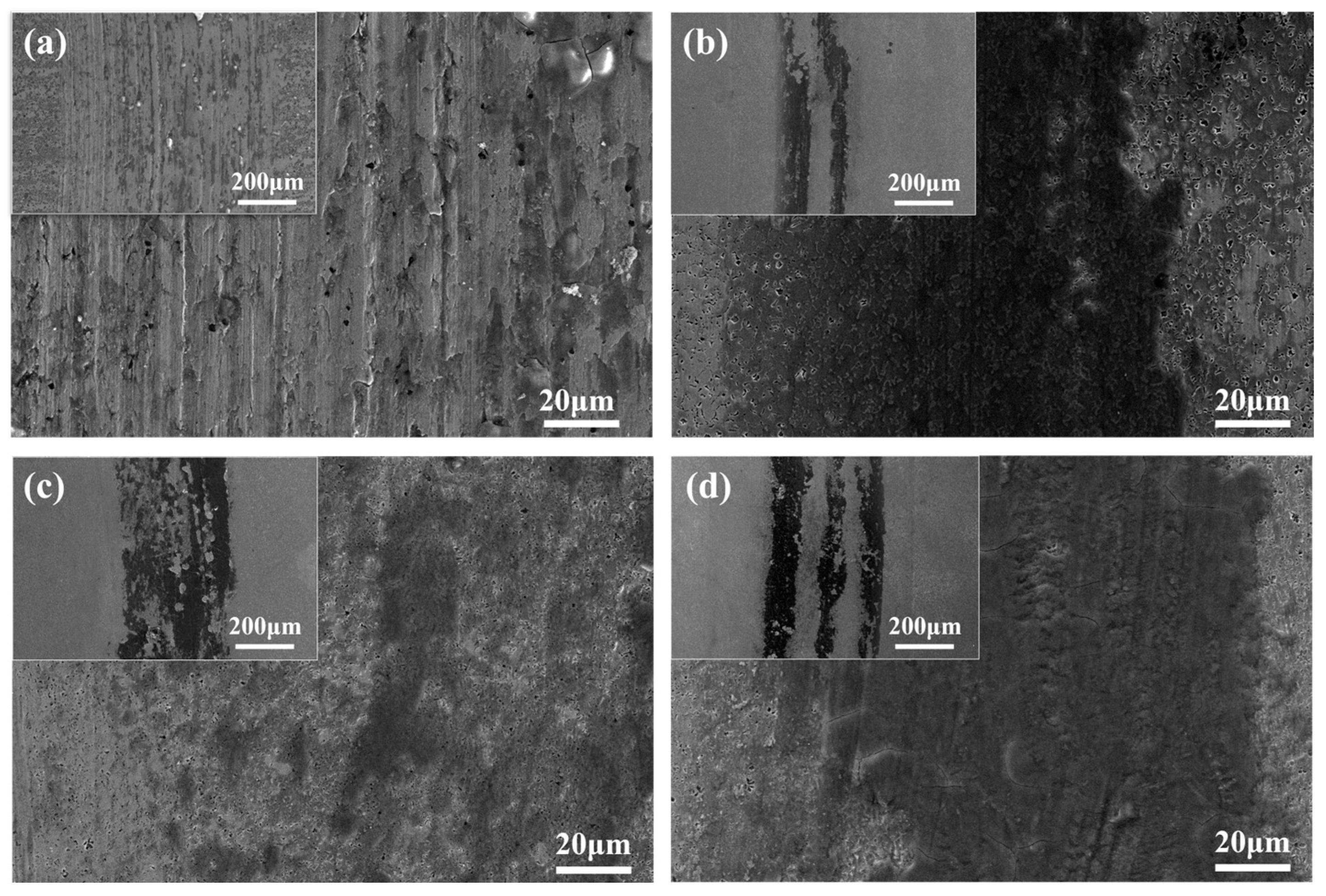 Metals 14 01136 g010