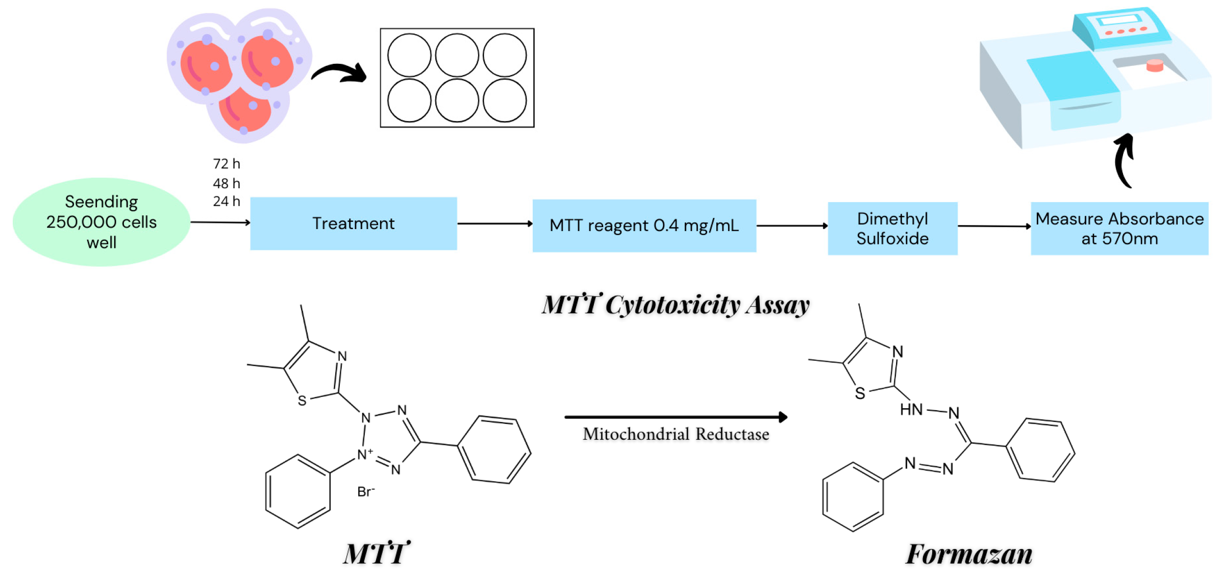 Metals 14 01144 g002