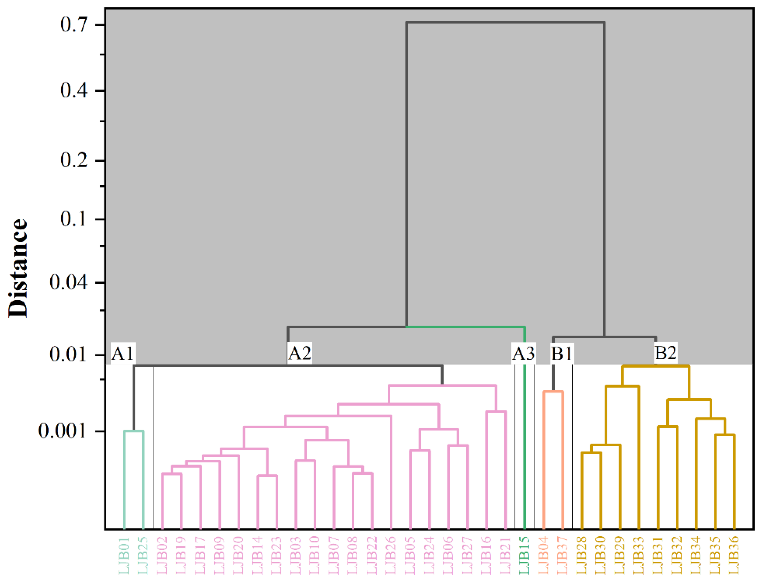 Metals 14 01151 g005